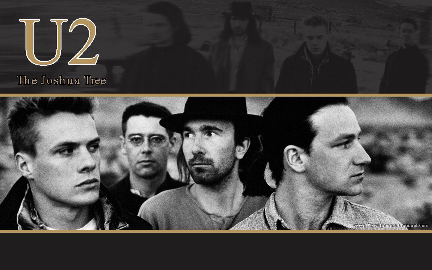 U2 Wall Paper Wallpapers