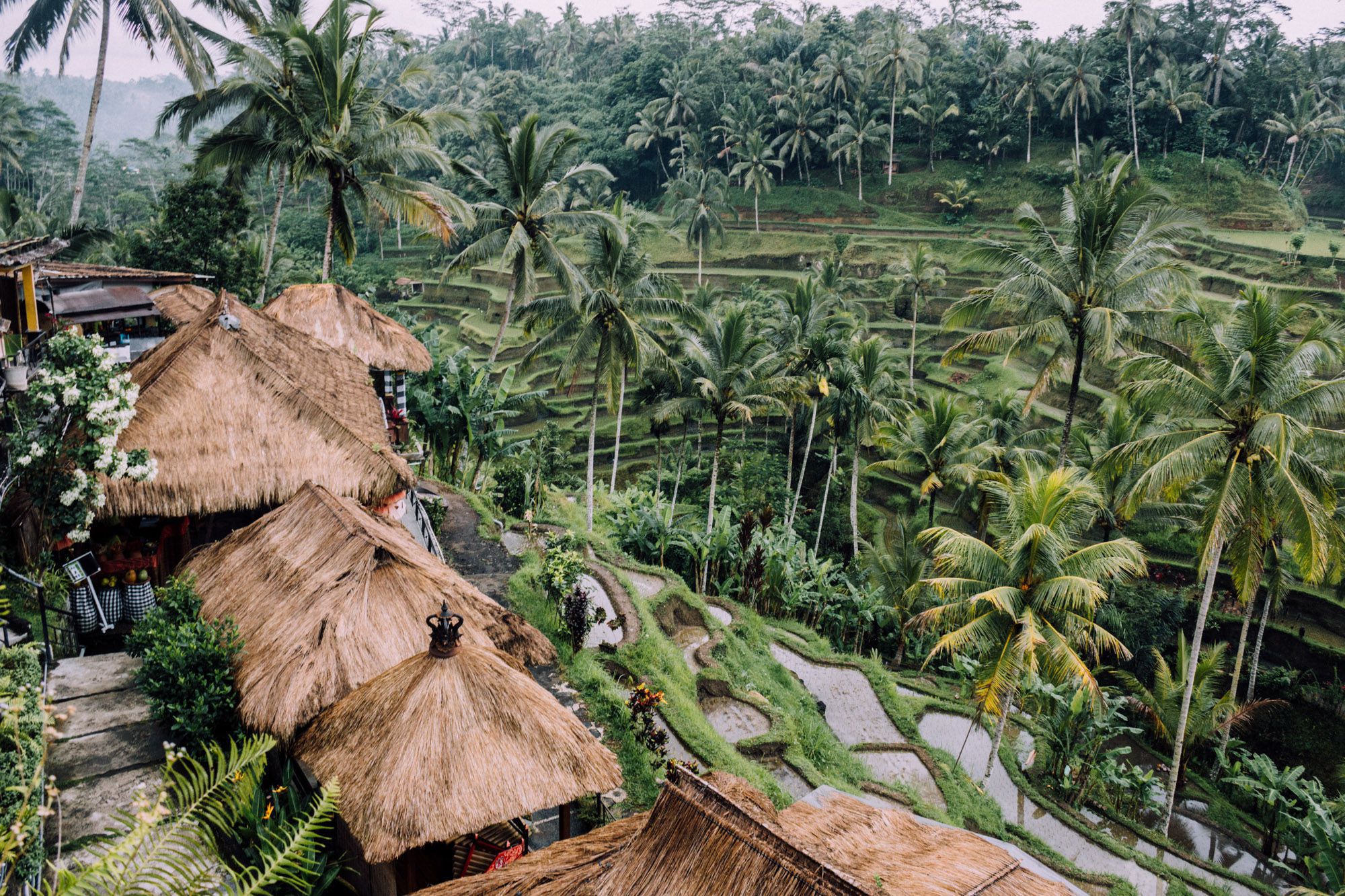 Ubud Wallpapers