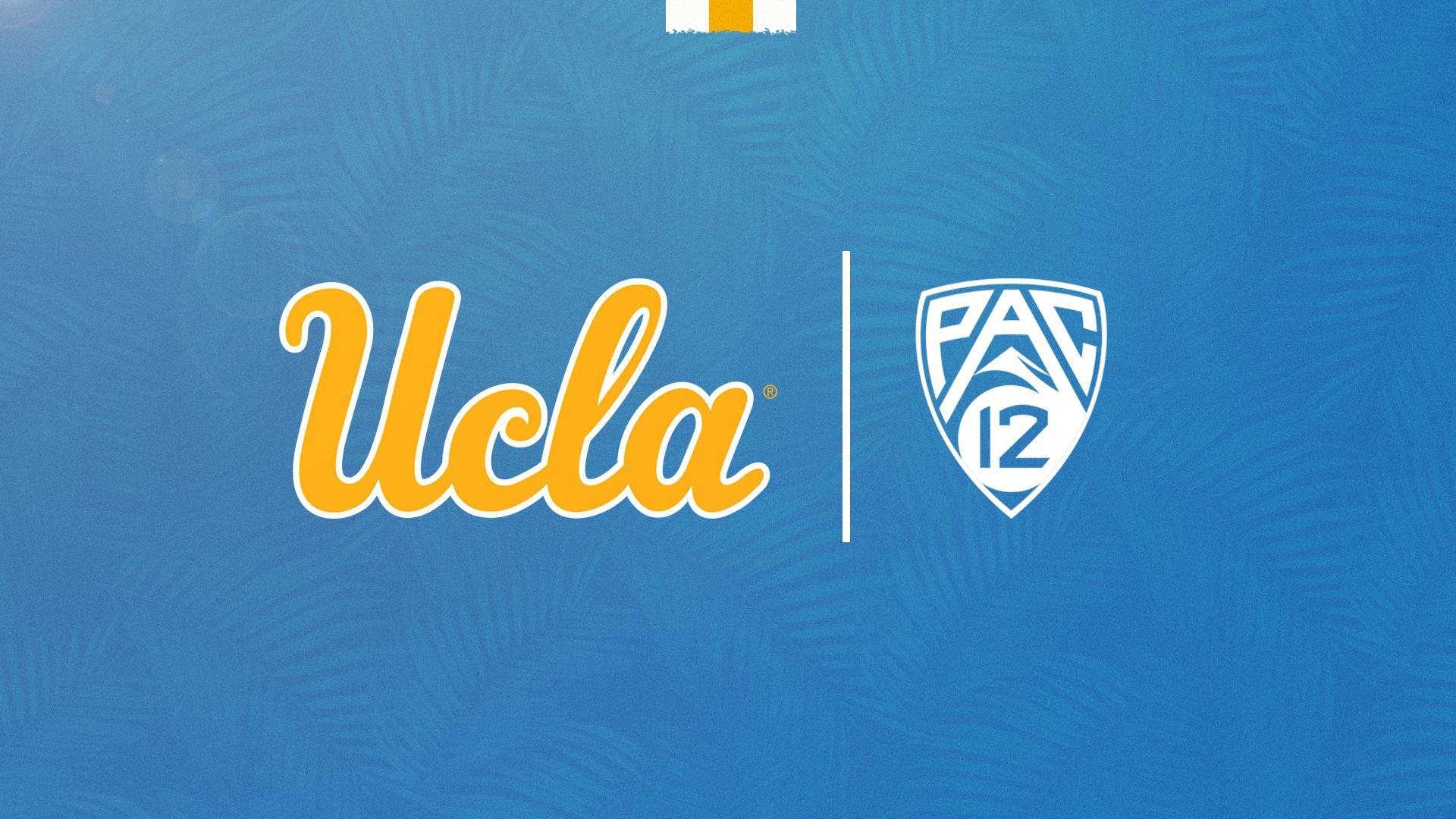 Ucla Basketball Wallpapers