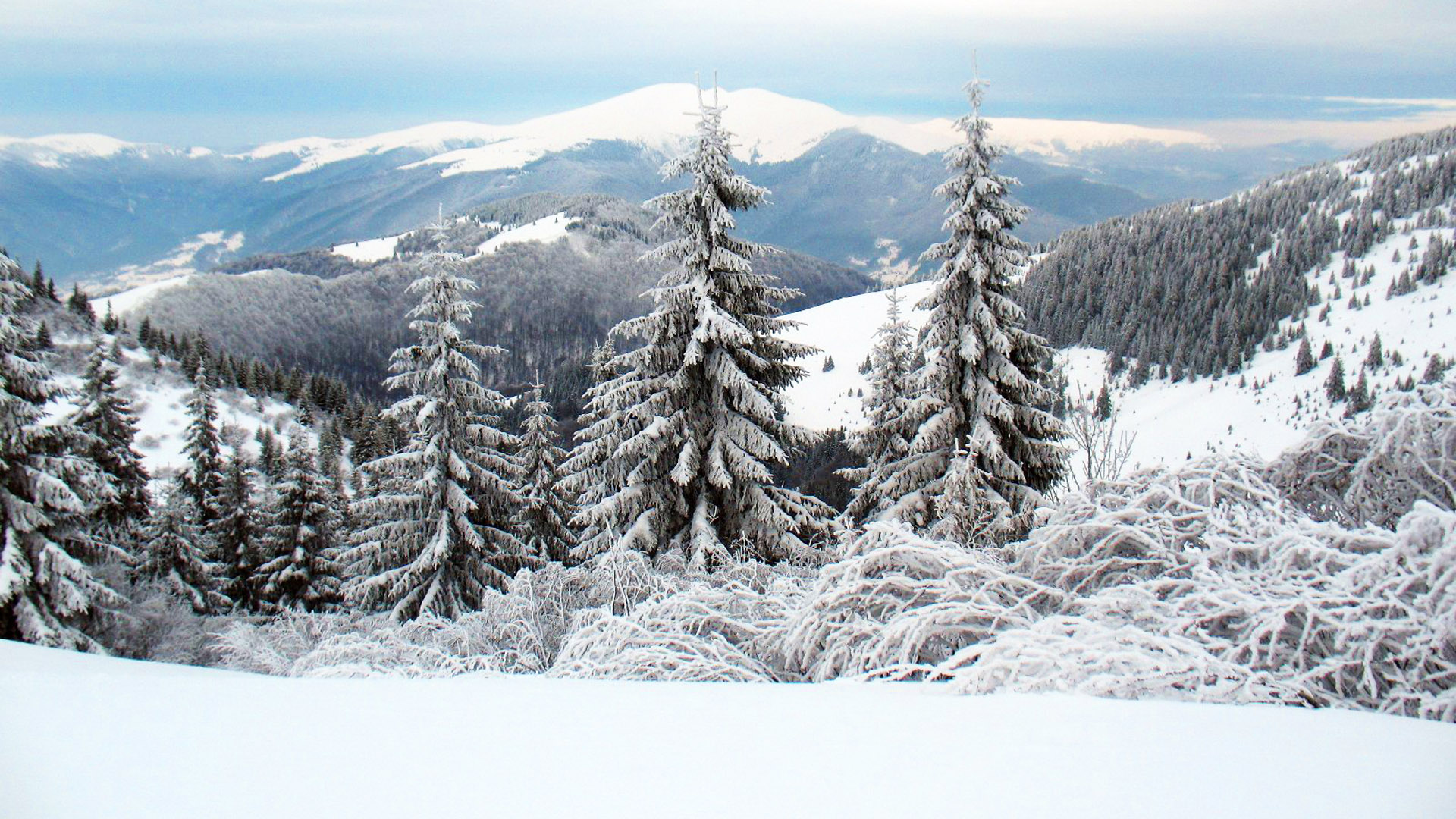 Ukrainian Bukovel In Winter Wallpapers