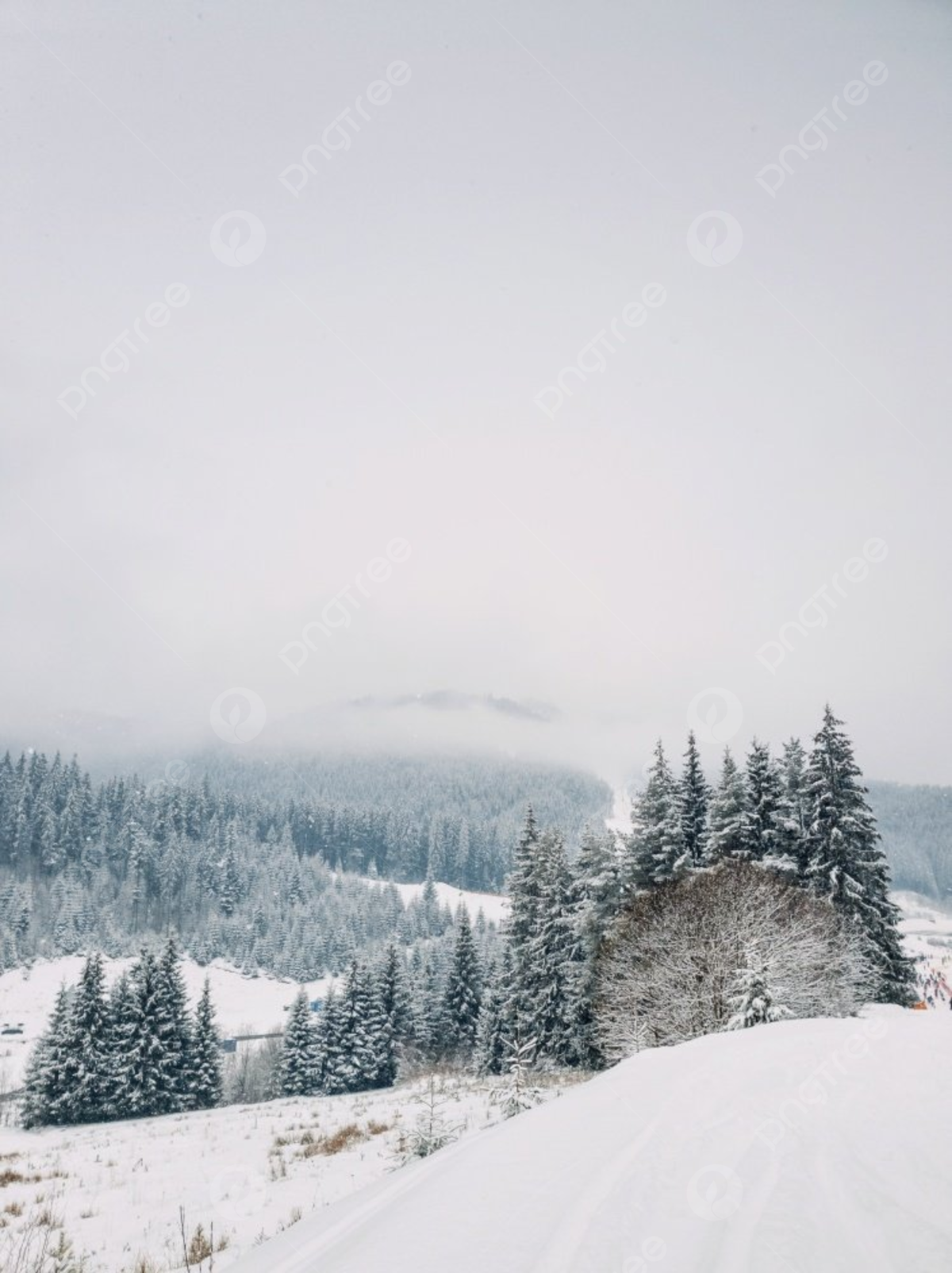 Ukrainian Bukovel In Winter Wallpapers