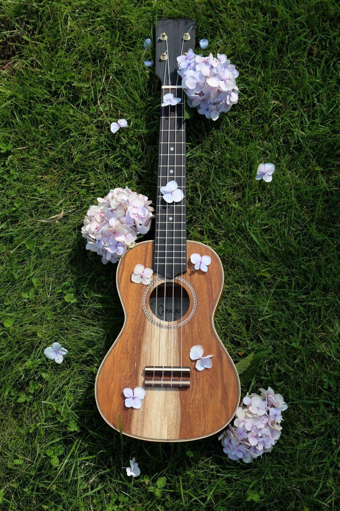 Ukulele Aesthetic Wallpapers