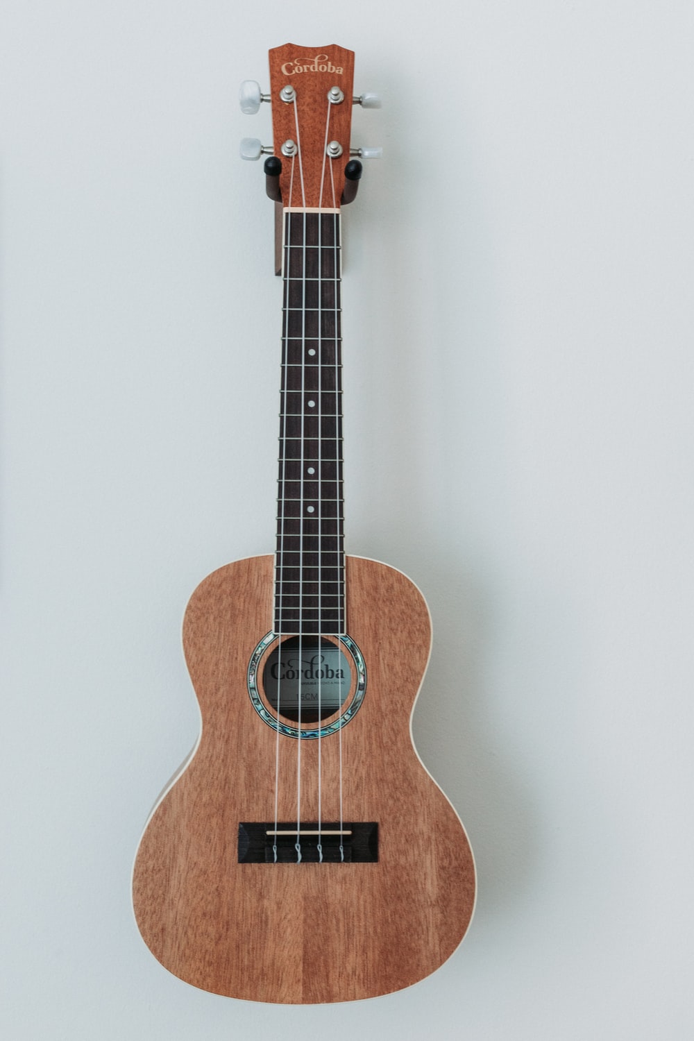 Ukulele Aesthetic Wallpapers