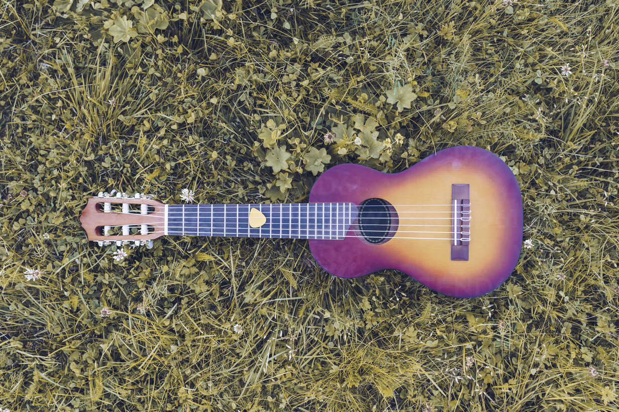 Ukulele Aesthetic Wallpapers