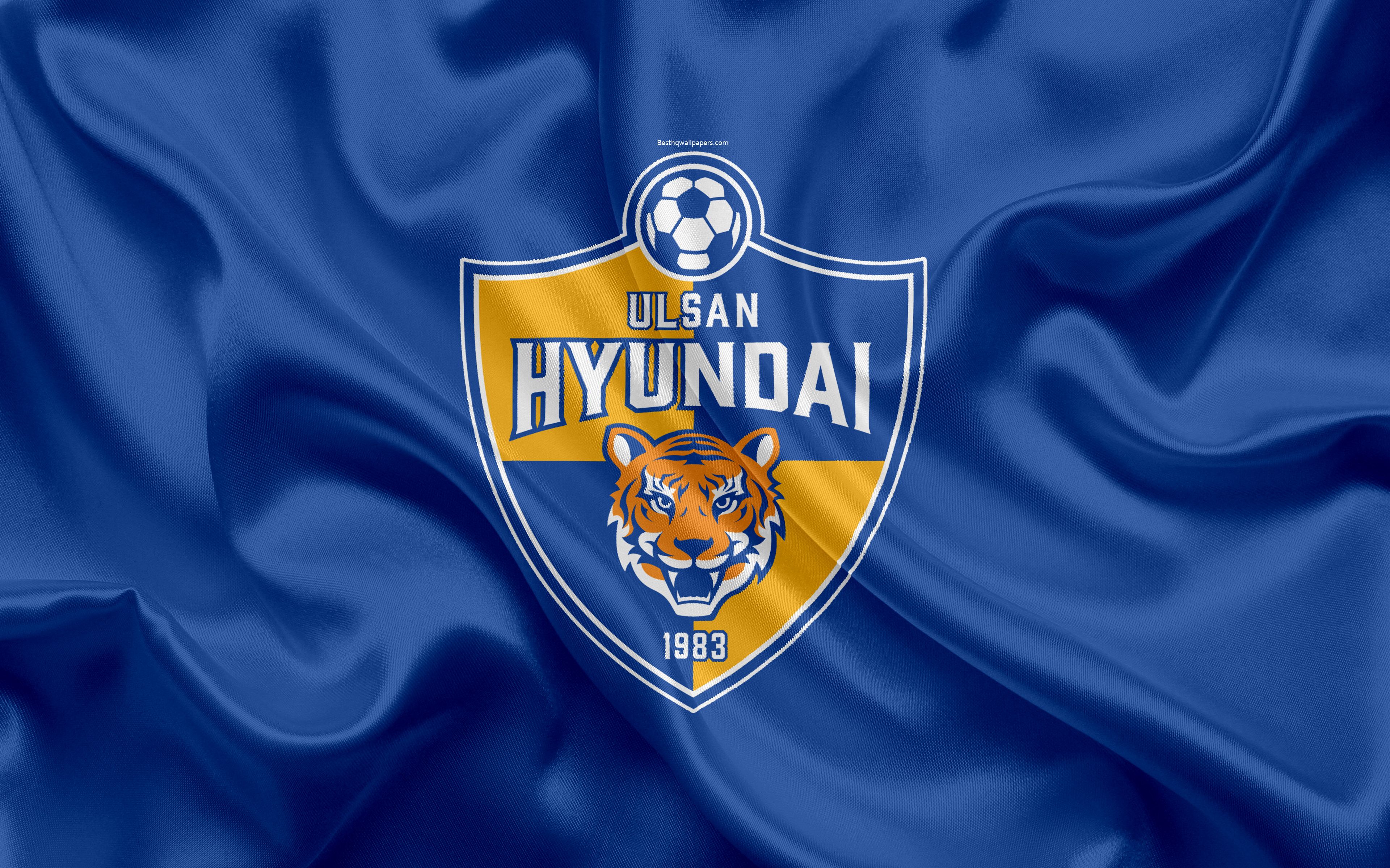 Ulsan Hyundai Fc Wallpapers