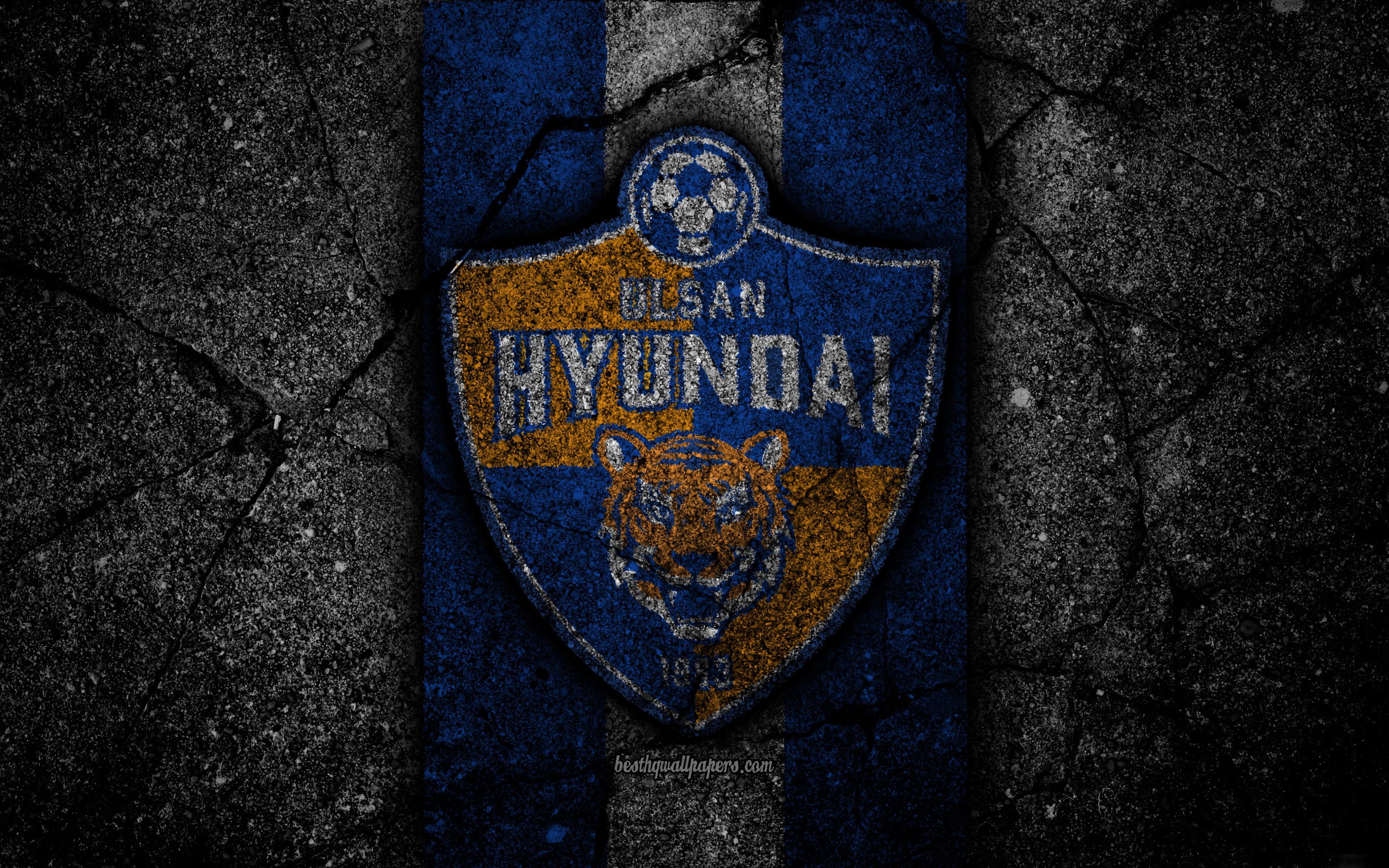 Ulsan Hyundai Fc Wallpapers