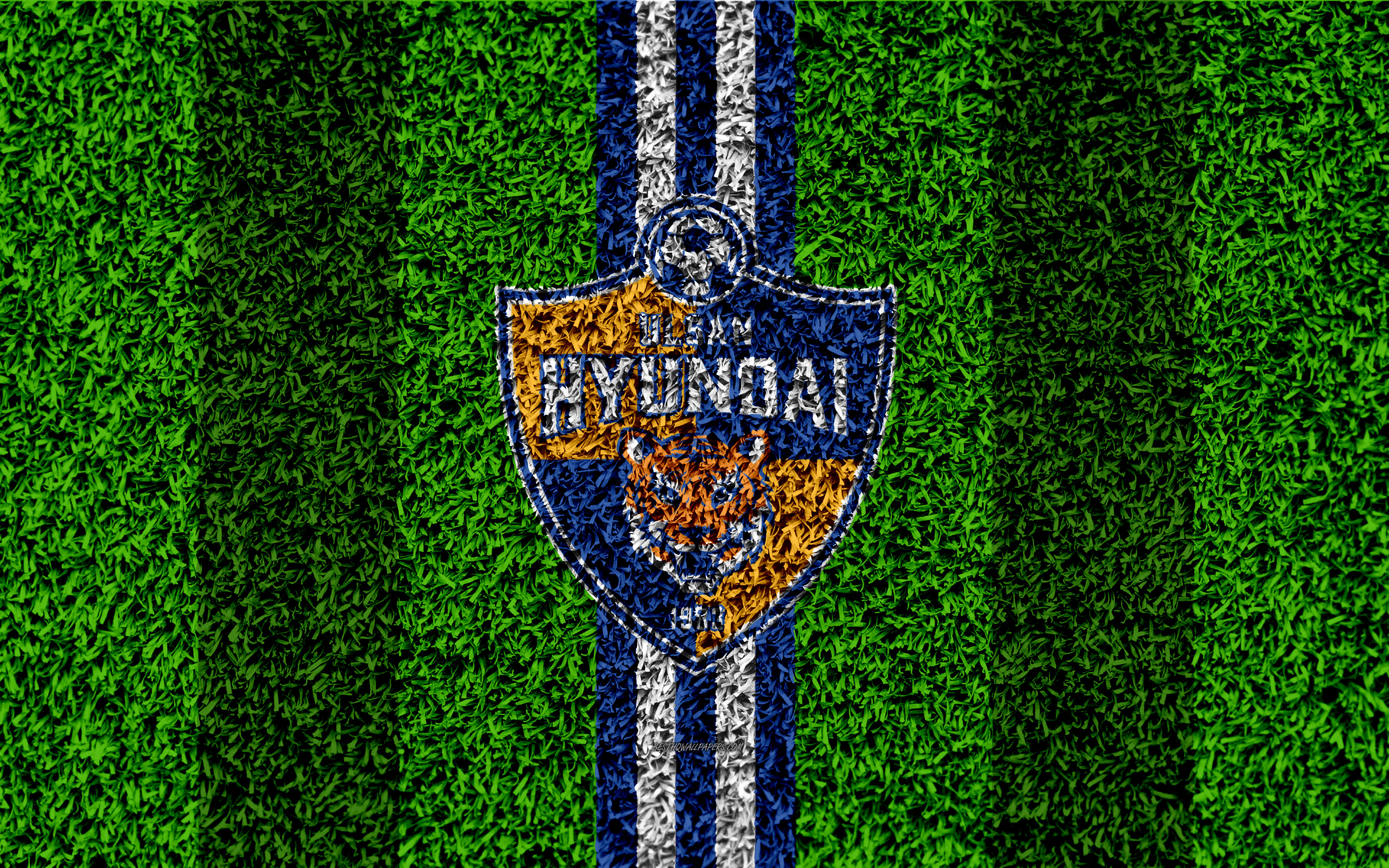 Ulsan Hyundai Fc Wallpapers