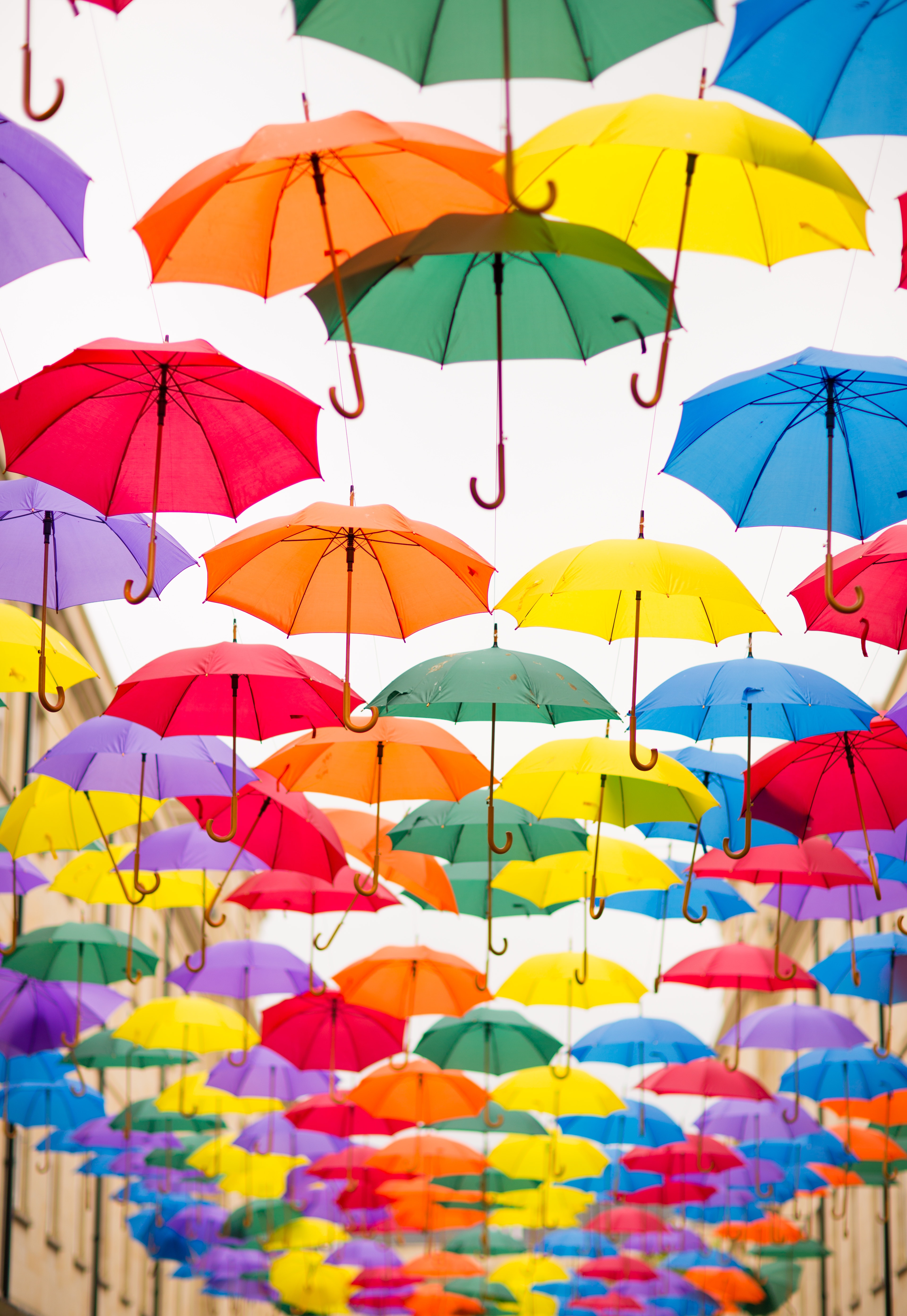 Umbrella Wallpapers