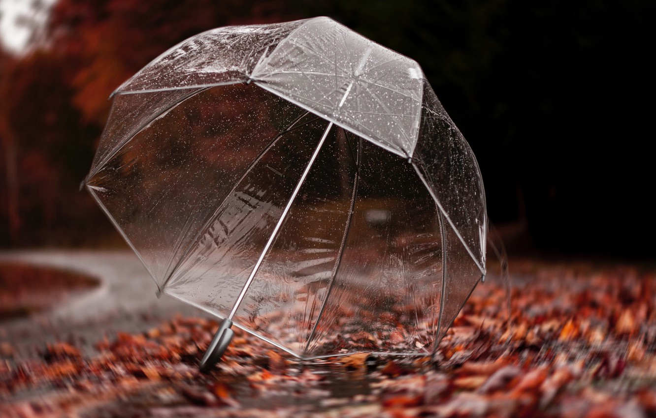 Umbrella Wallpapers