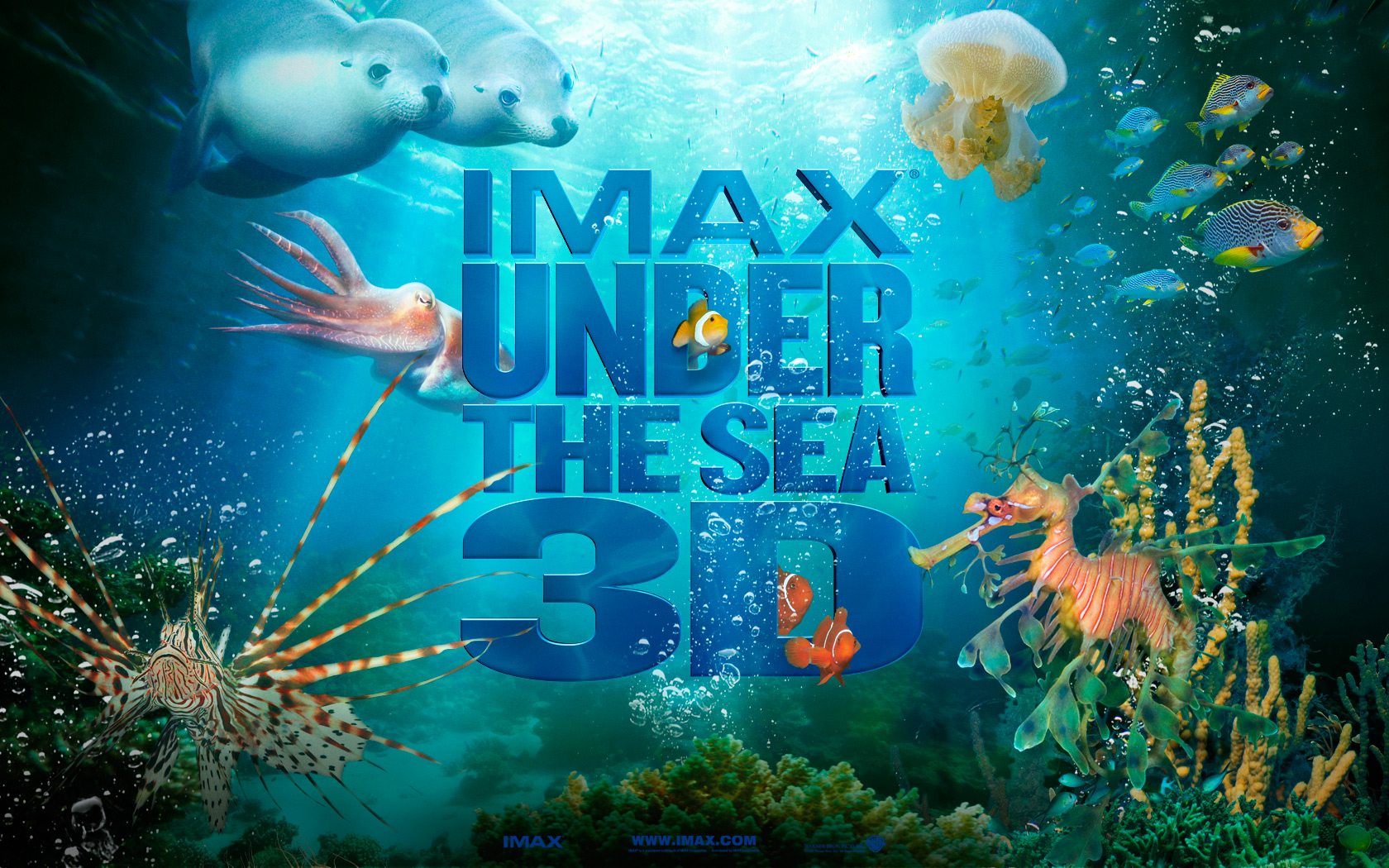 Under The Sea Wallpapers