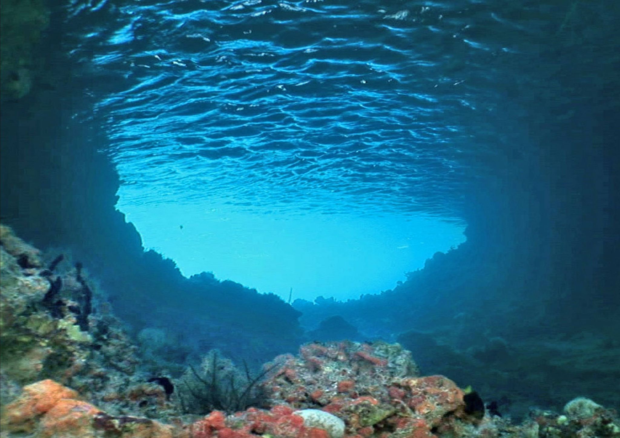 Underwater Ocean Screensaver Wallpapers