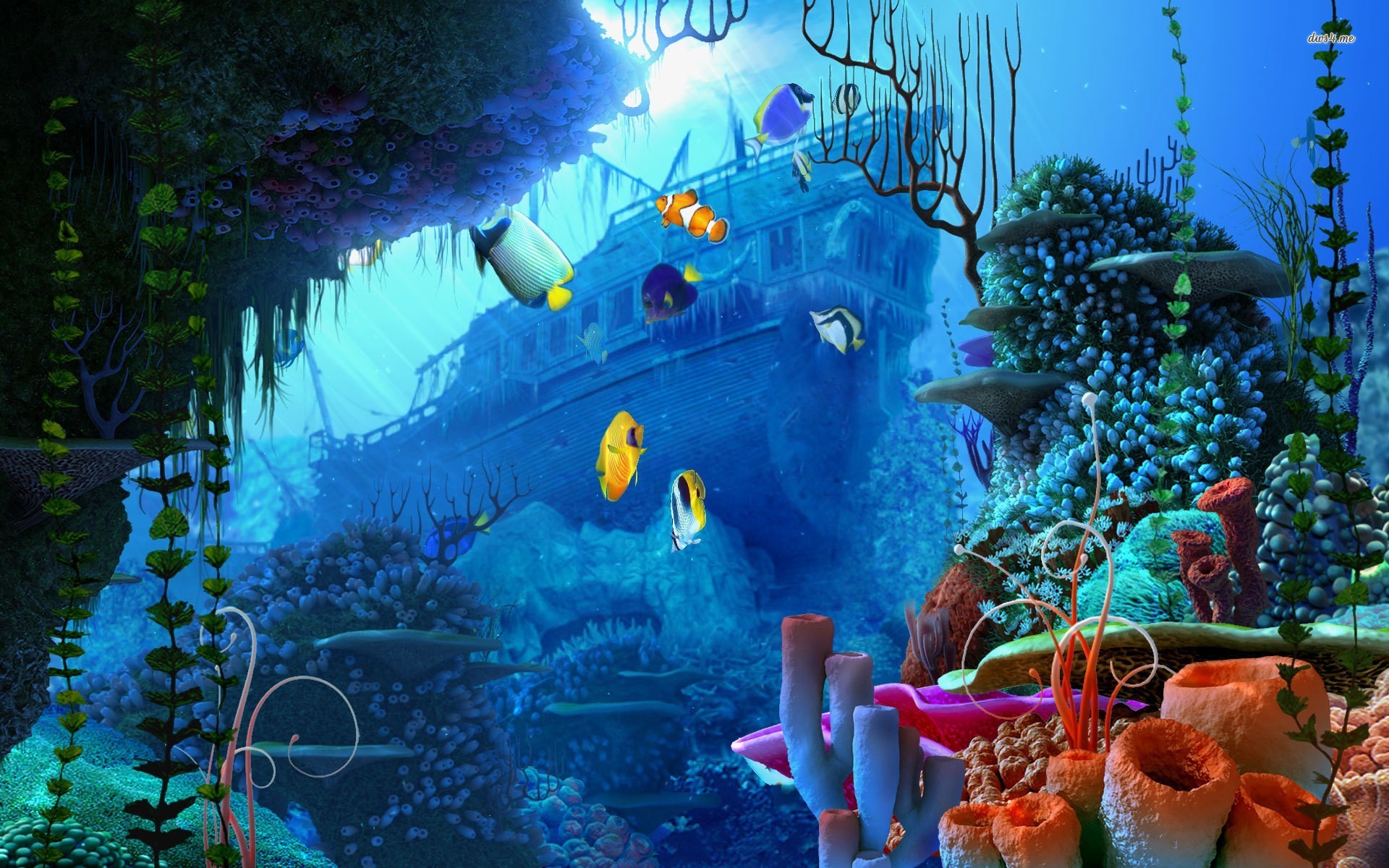 Underwater Wallpapers