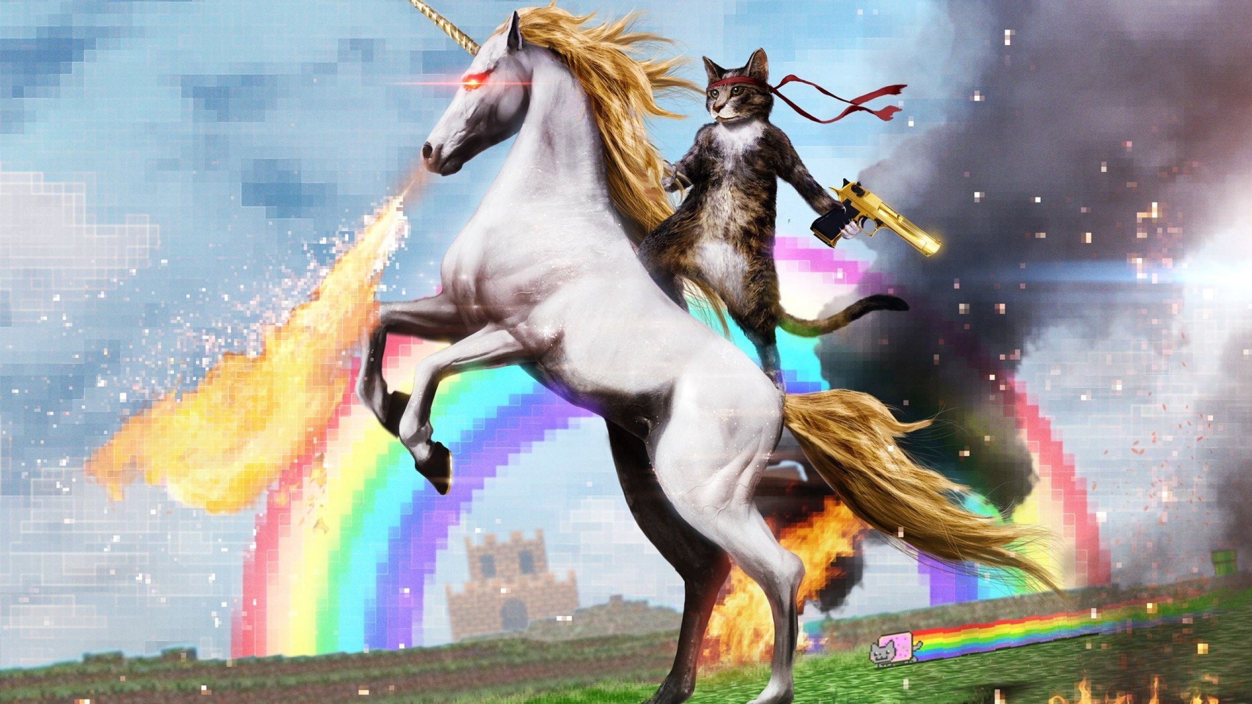 Unicorn Cat Backgrounds