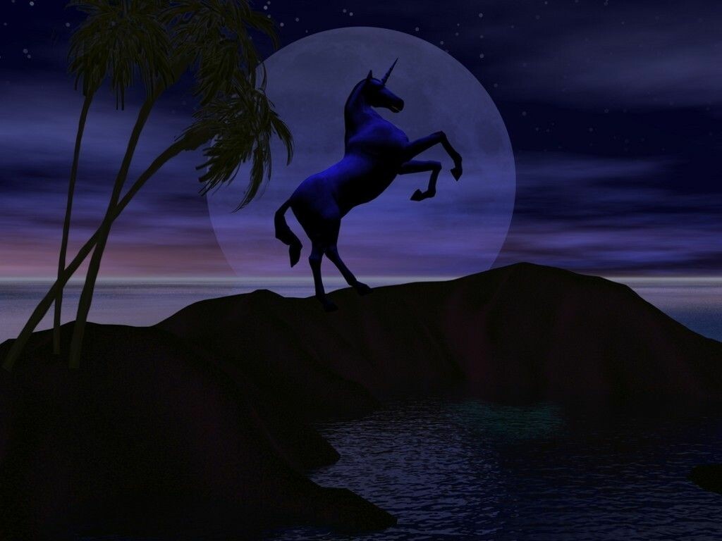 Unicorn Horse Full Moon Wallpapers