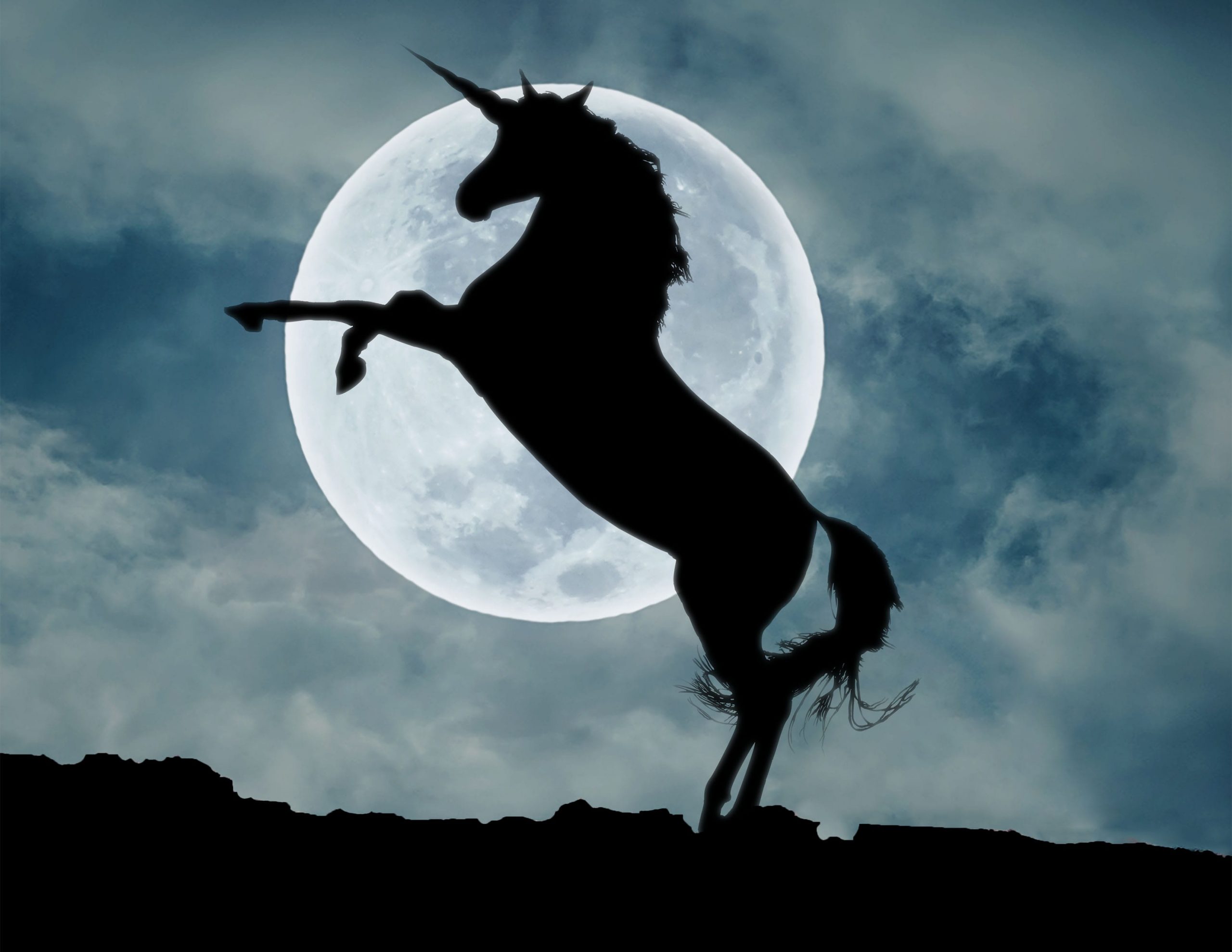 Unicorn Horse Full Moon Wallpapers