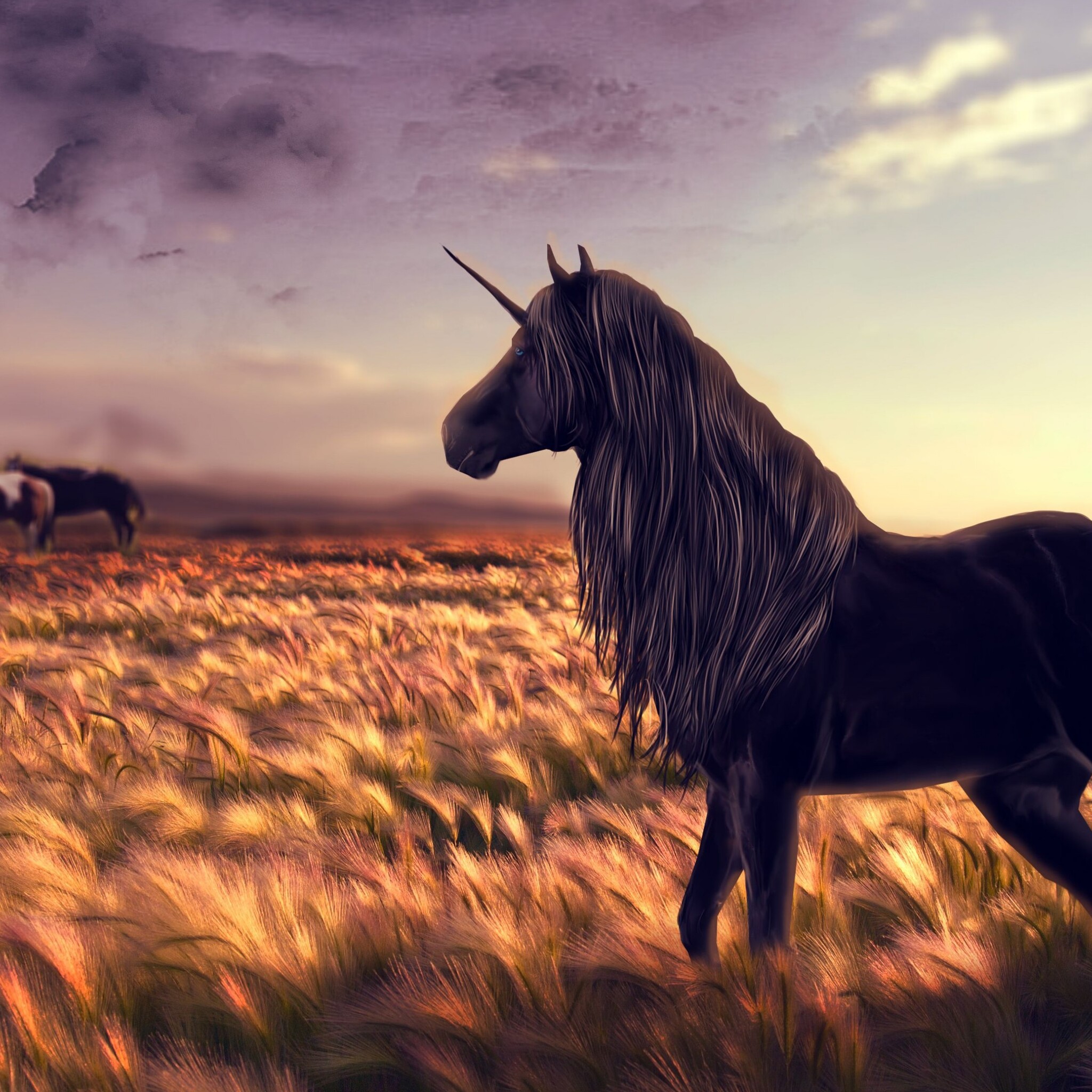 Unicorn In Field Wallpapers