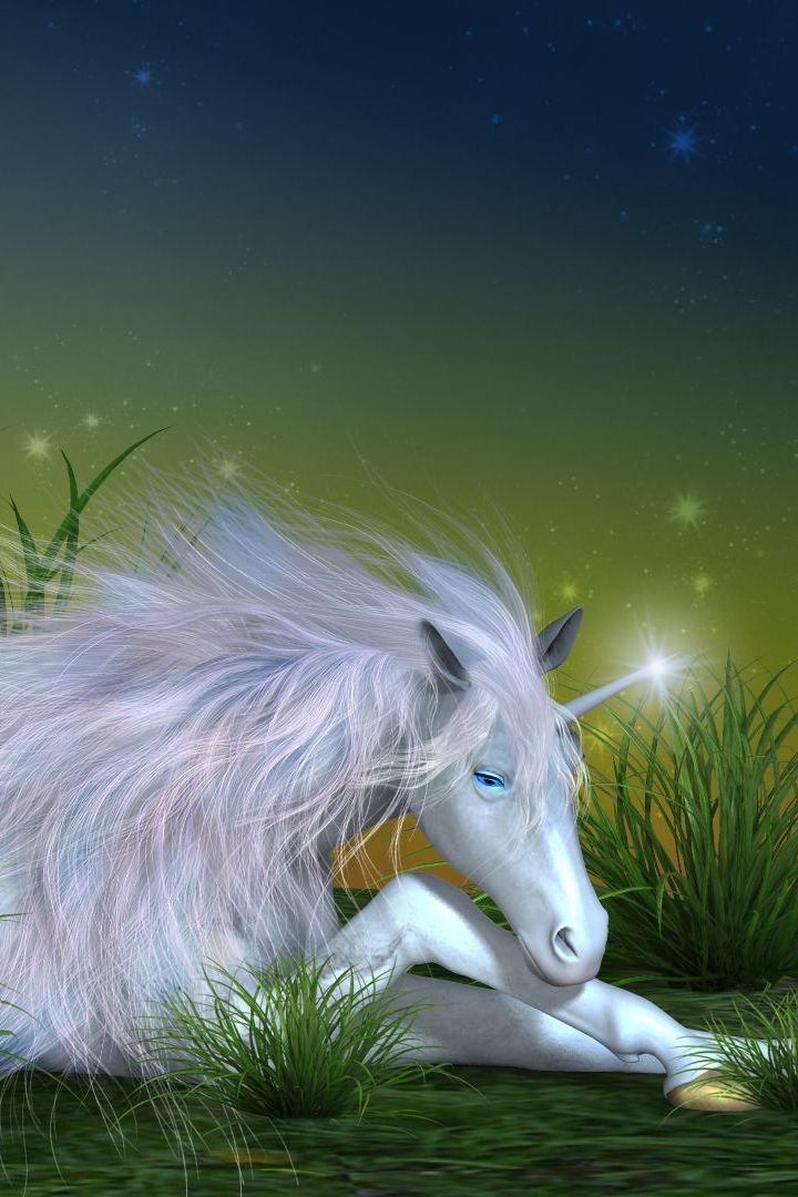 Unicorn In Field Wallpapers