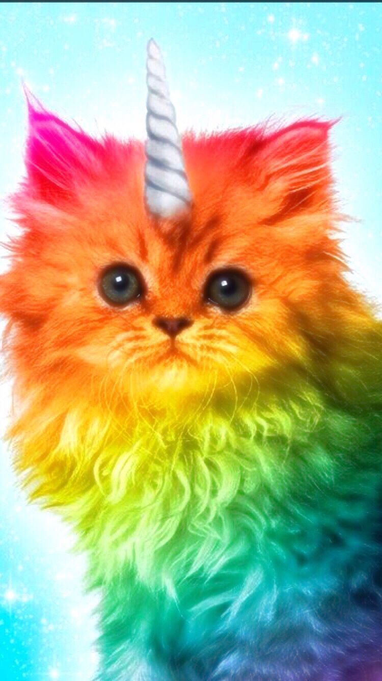 Unicorn Kitty Wallpapers