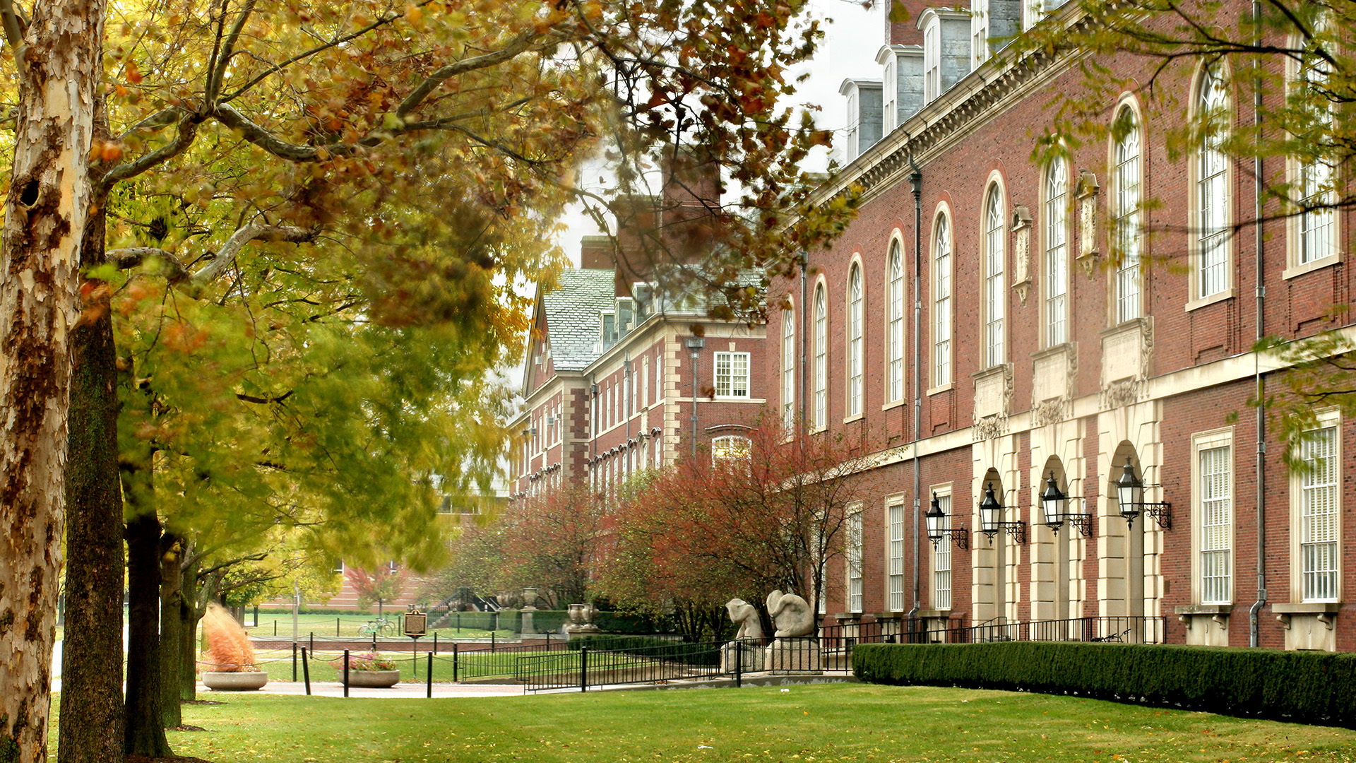 University Of Illinois Wallpapers