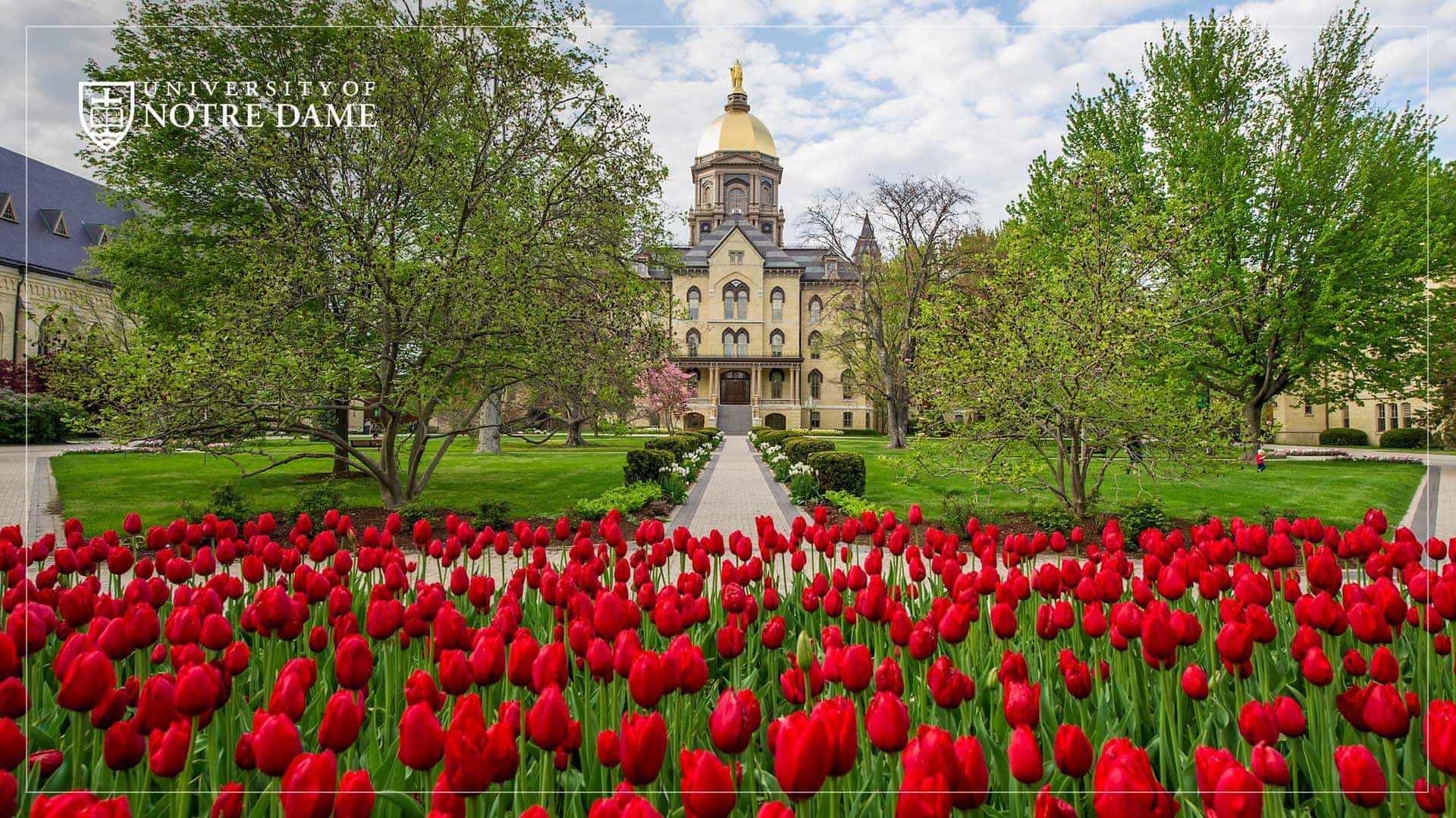 University Of Notre Dame Wallpapers