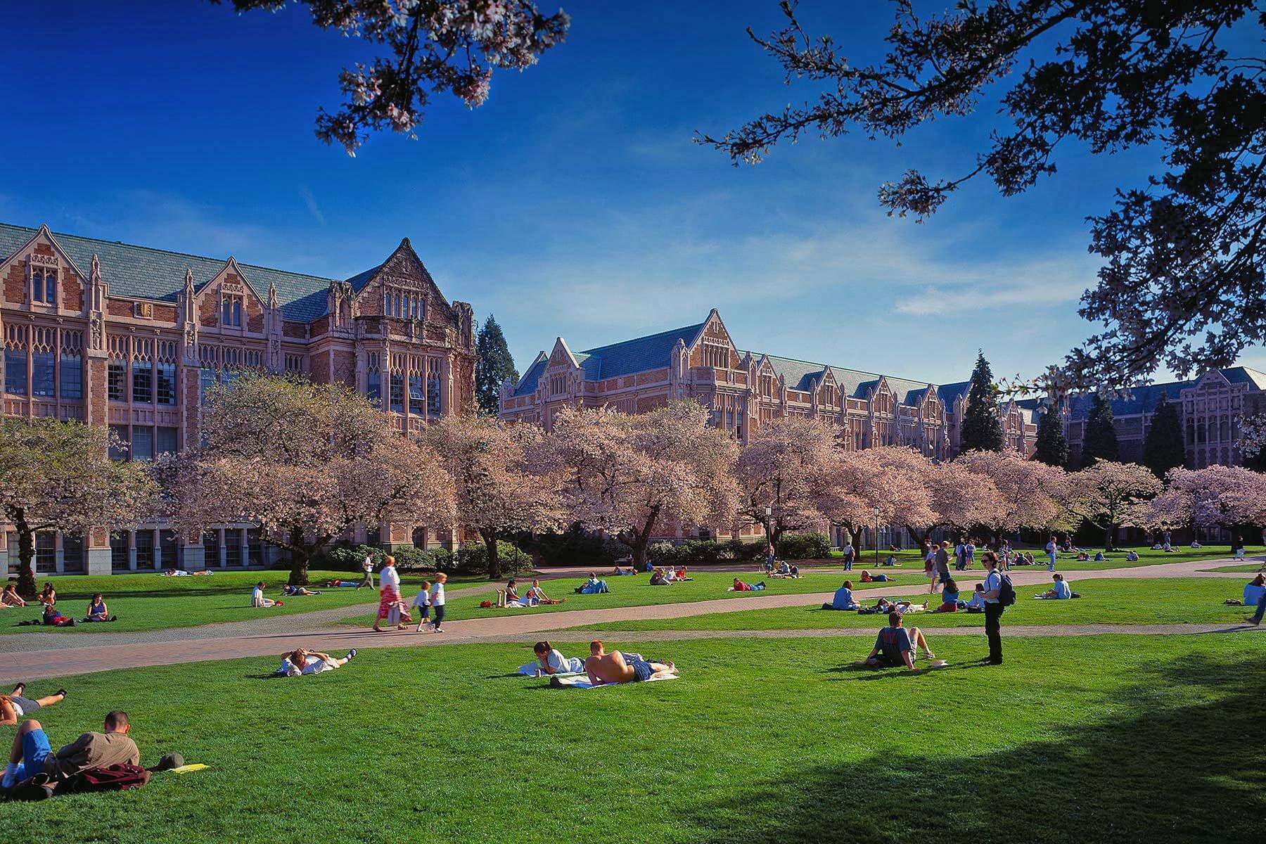 University Of Washington Wallpapers