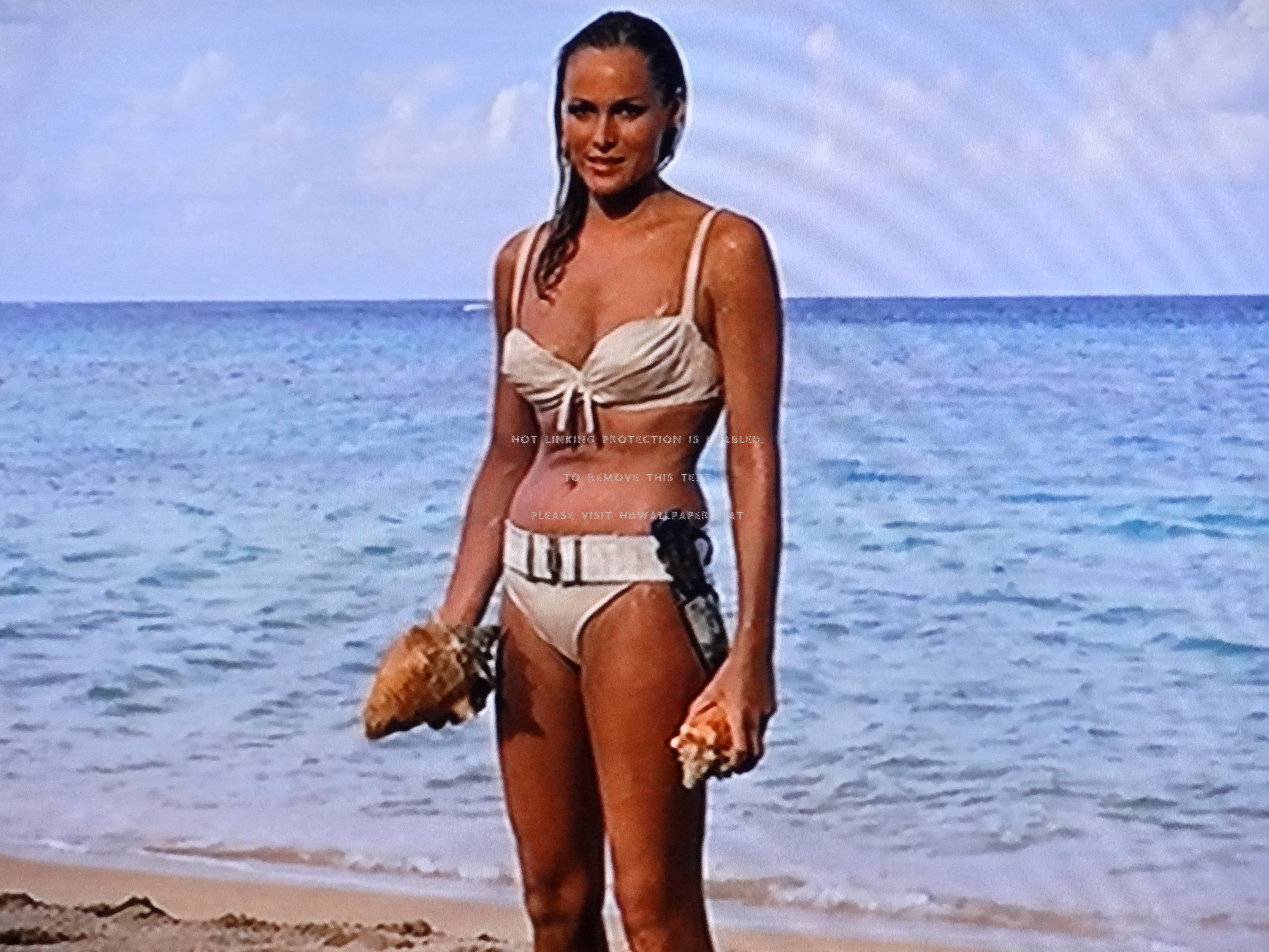 Ursula Andress Wallpapers