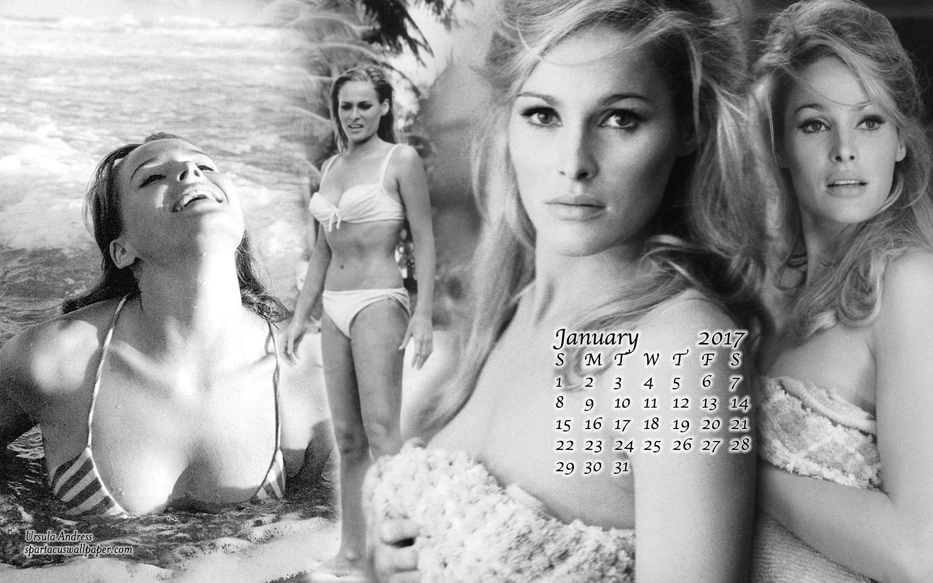 Ursula Andress Wallpapers