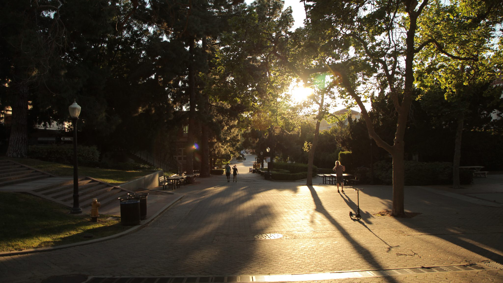 Usa California Road Sunlight Street View Wallpapers