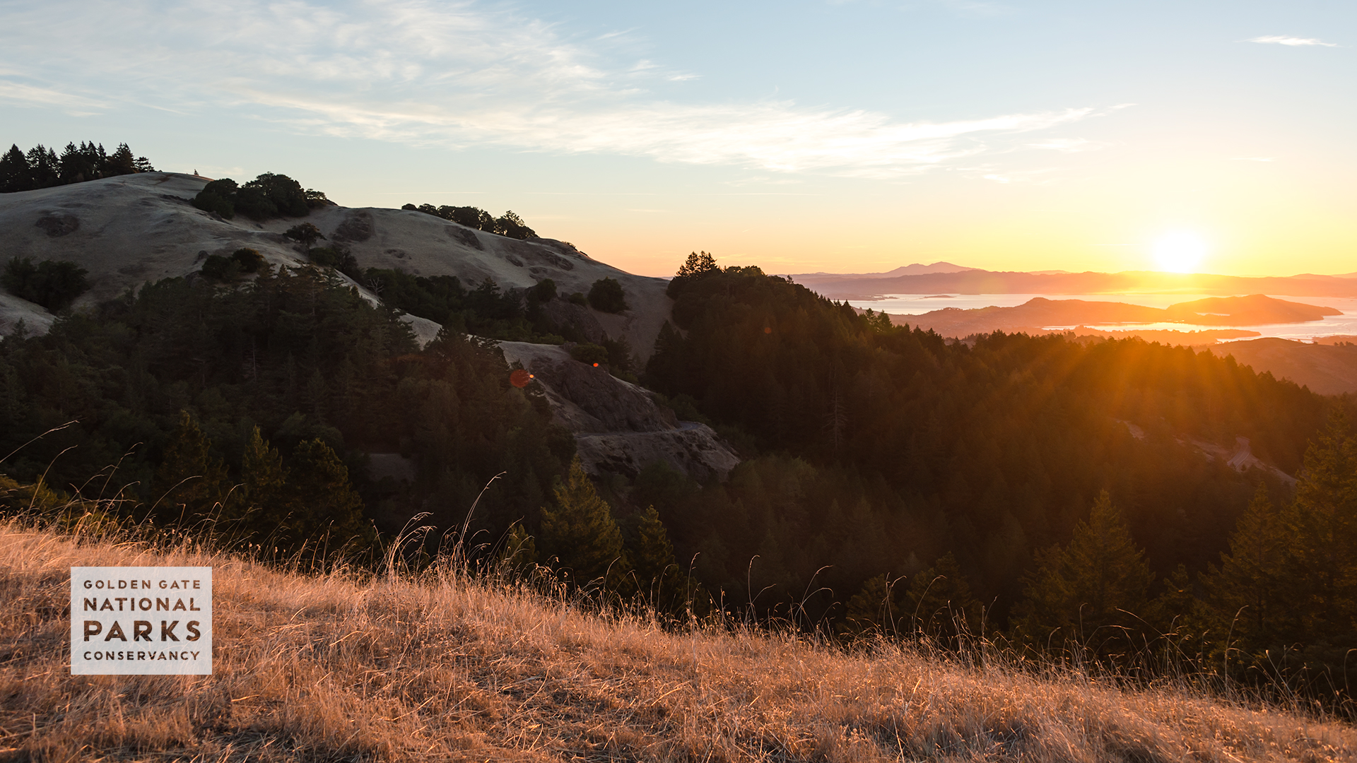 Usa California Road Sunlight Street View Wallpapers