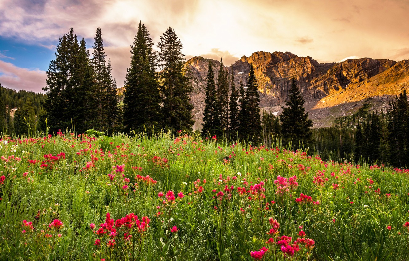 Utah Mountains Wallpapers