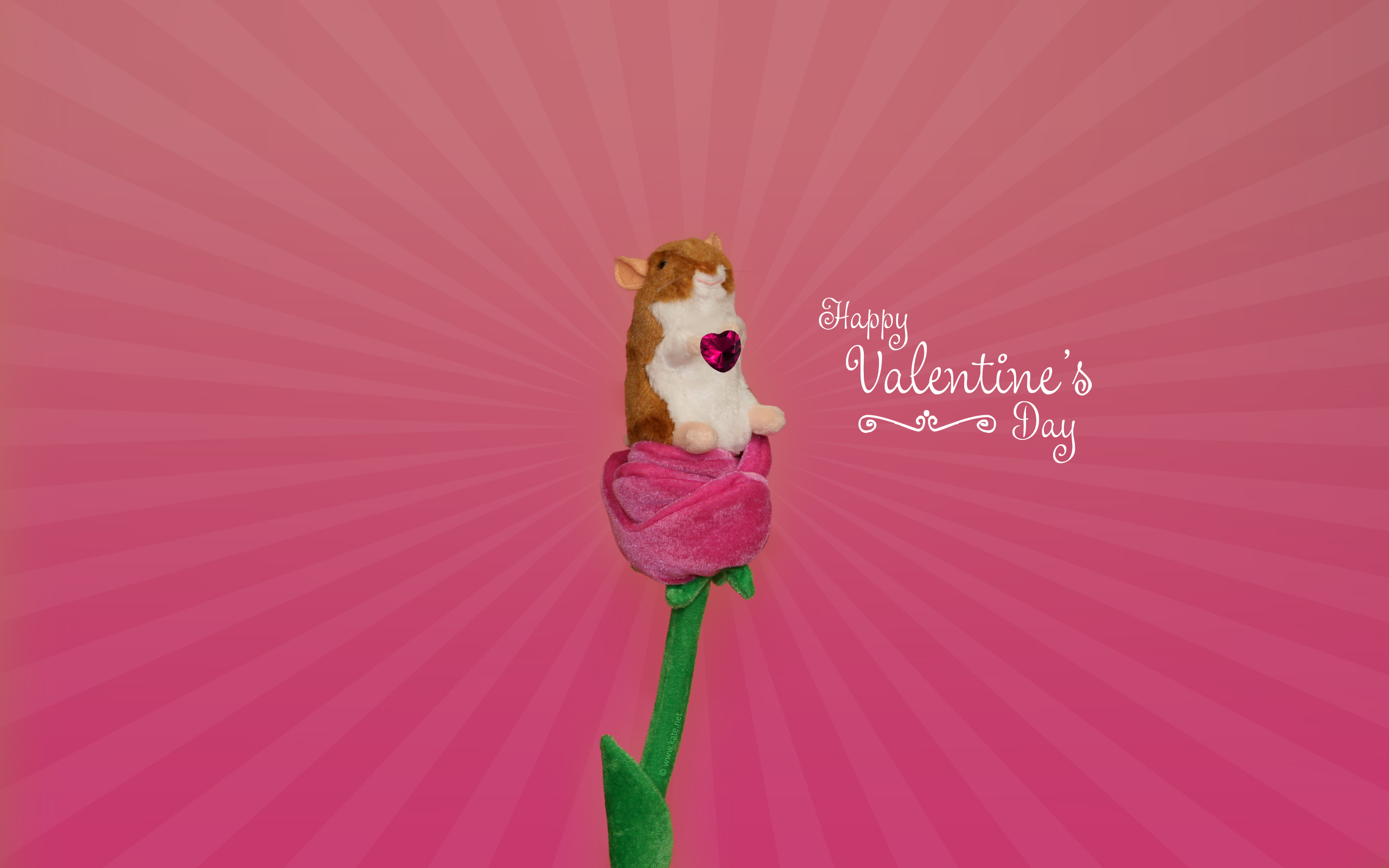 Valentine'S Day Wallpapers