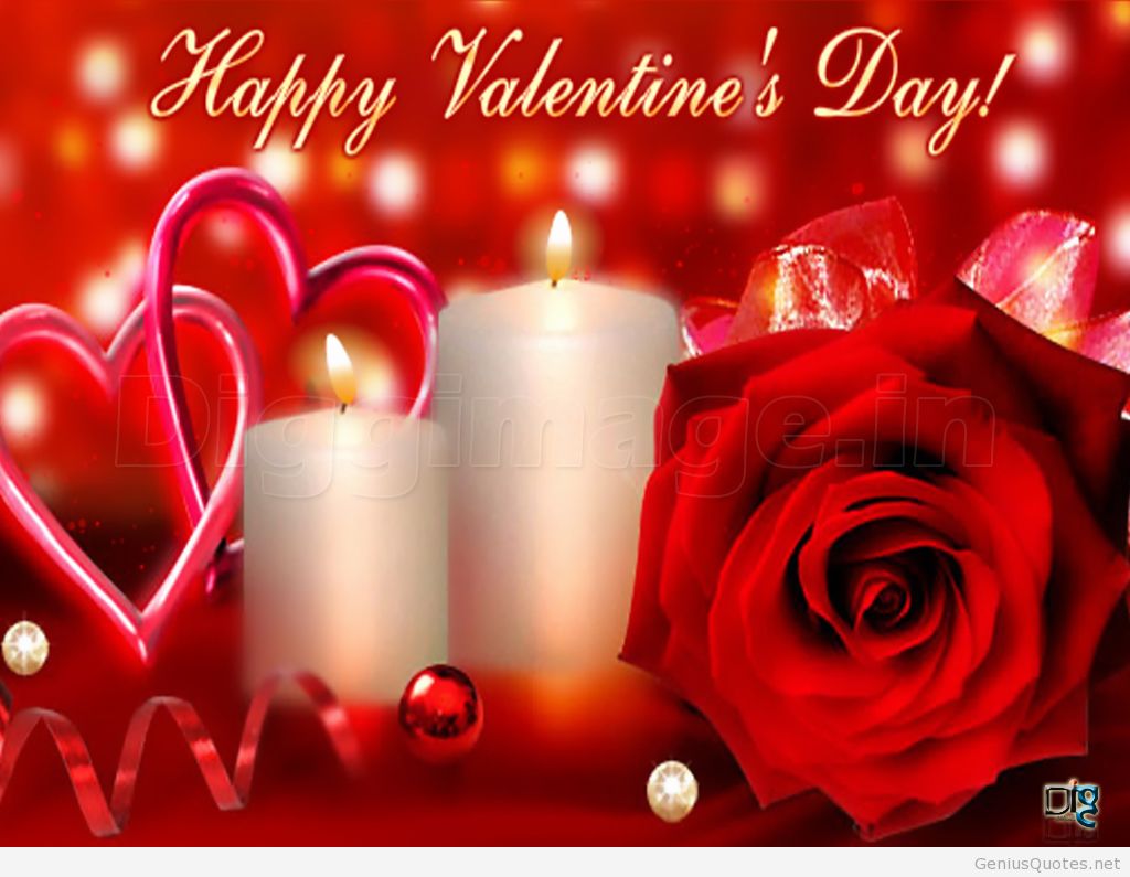 Valentine Flower Picture Wallpapers