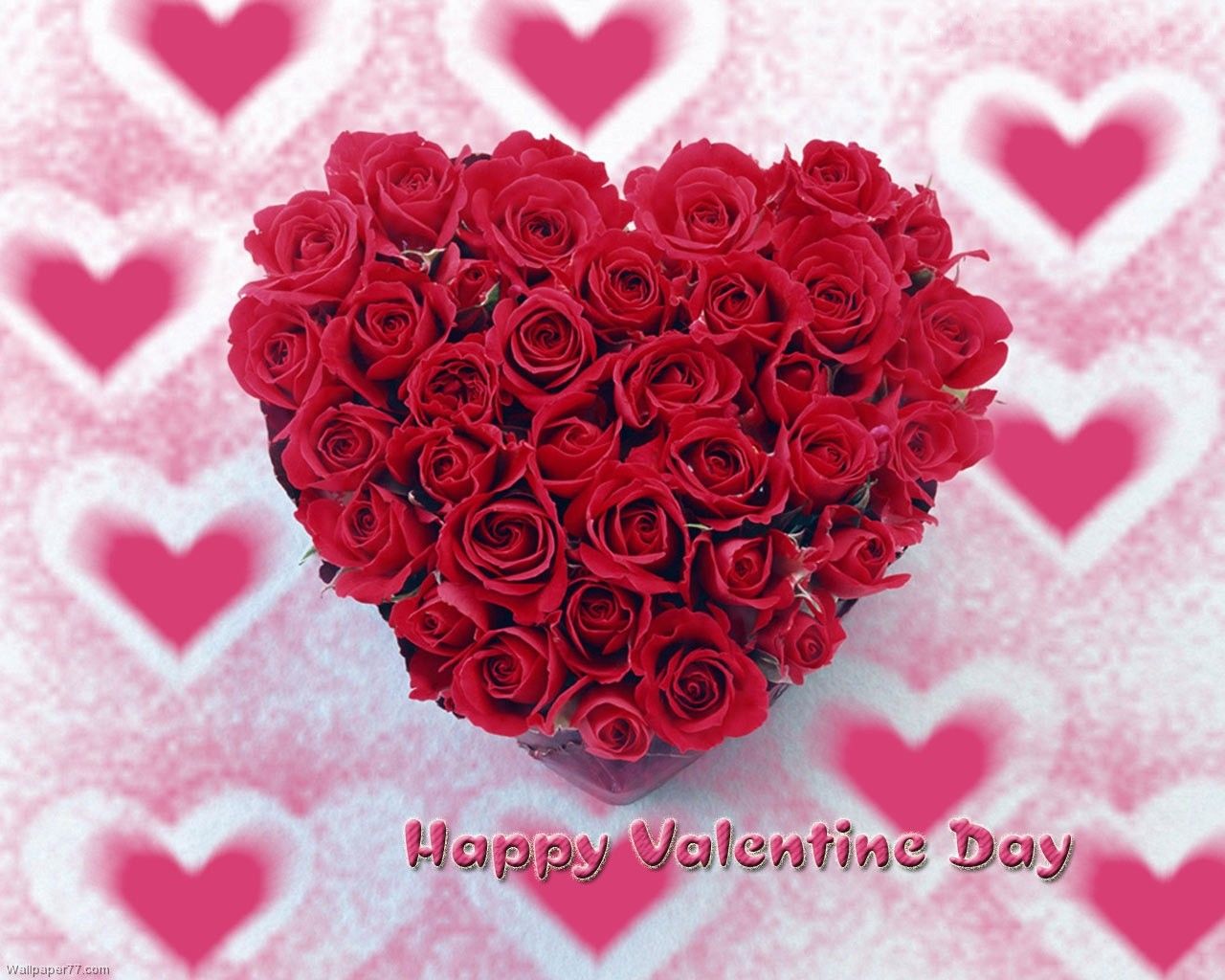 Valentine Flower Picture Wallpapers