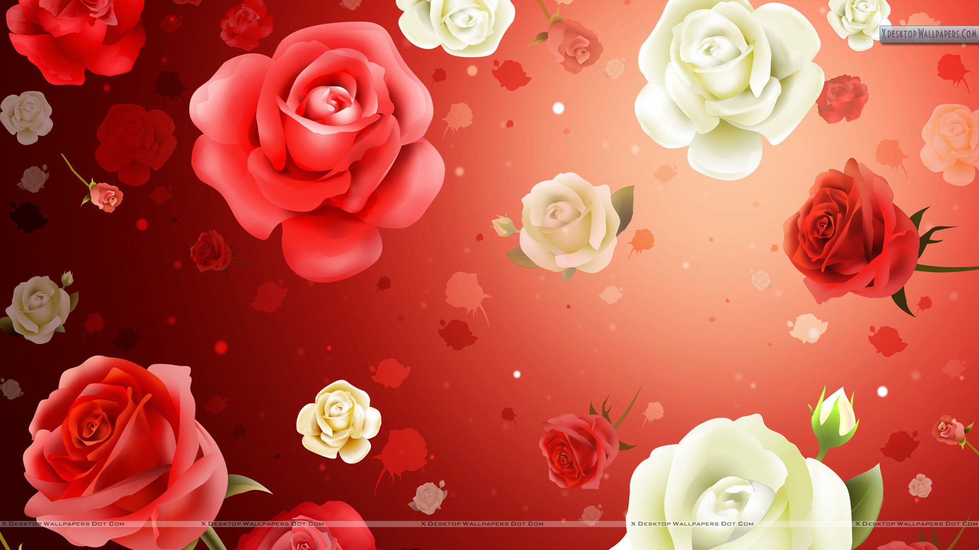 Valentine Flower Picture Wallpapers