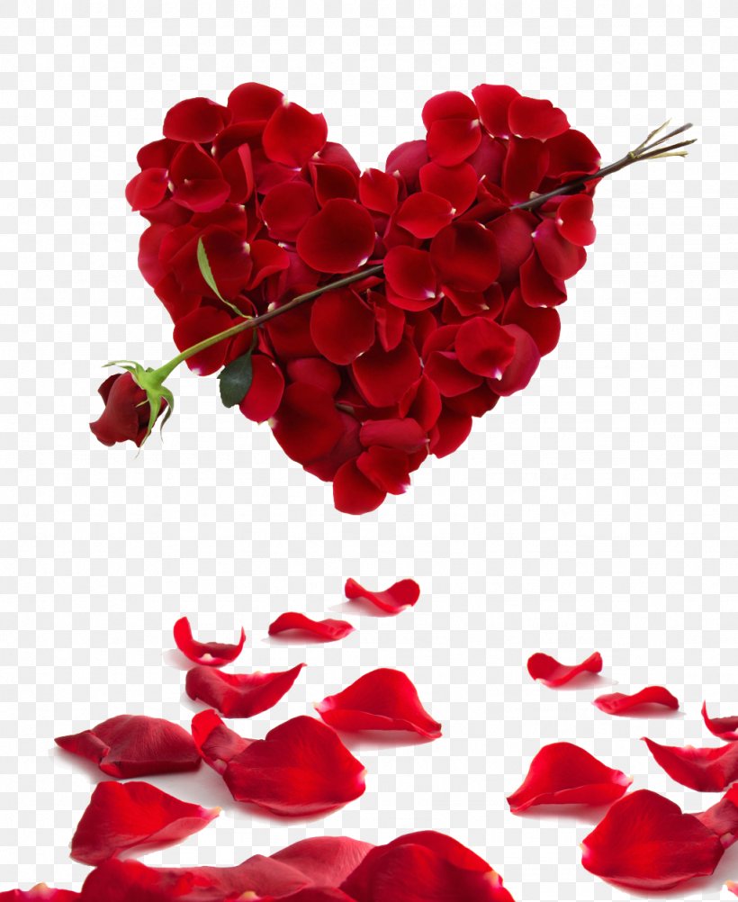 Valentine Flower Picture Wallpapers