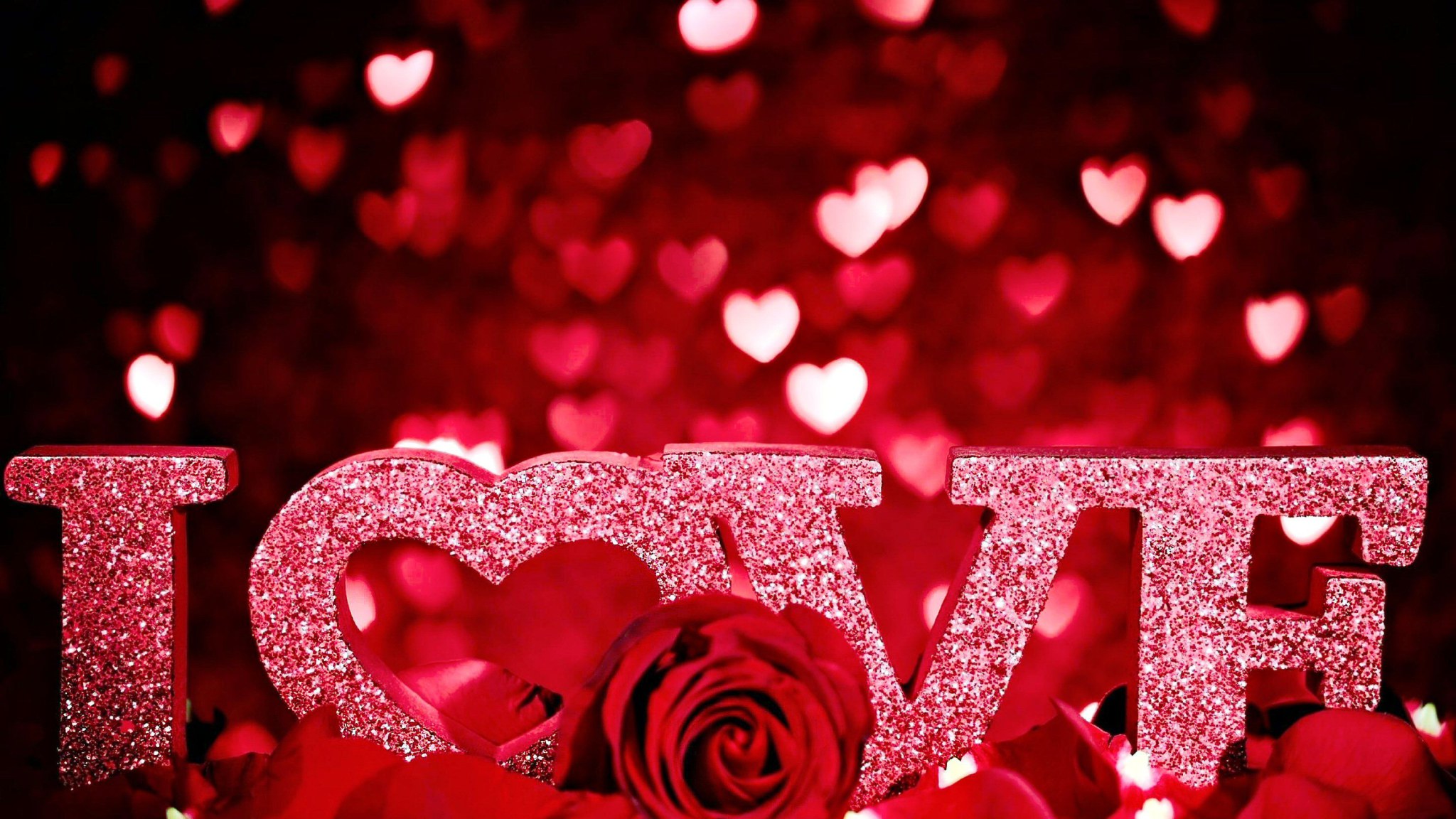 Valentine Flower Picture Wallpapers