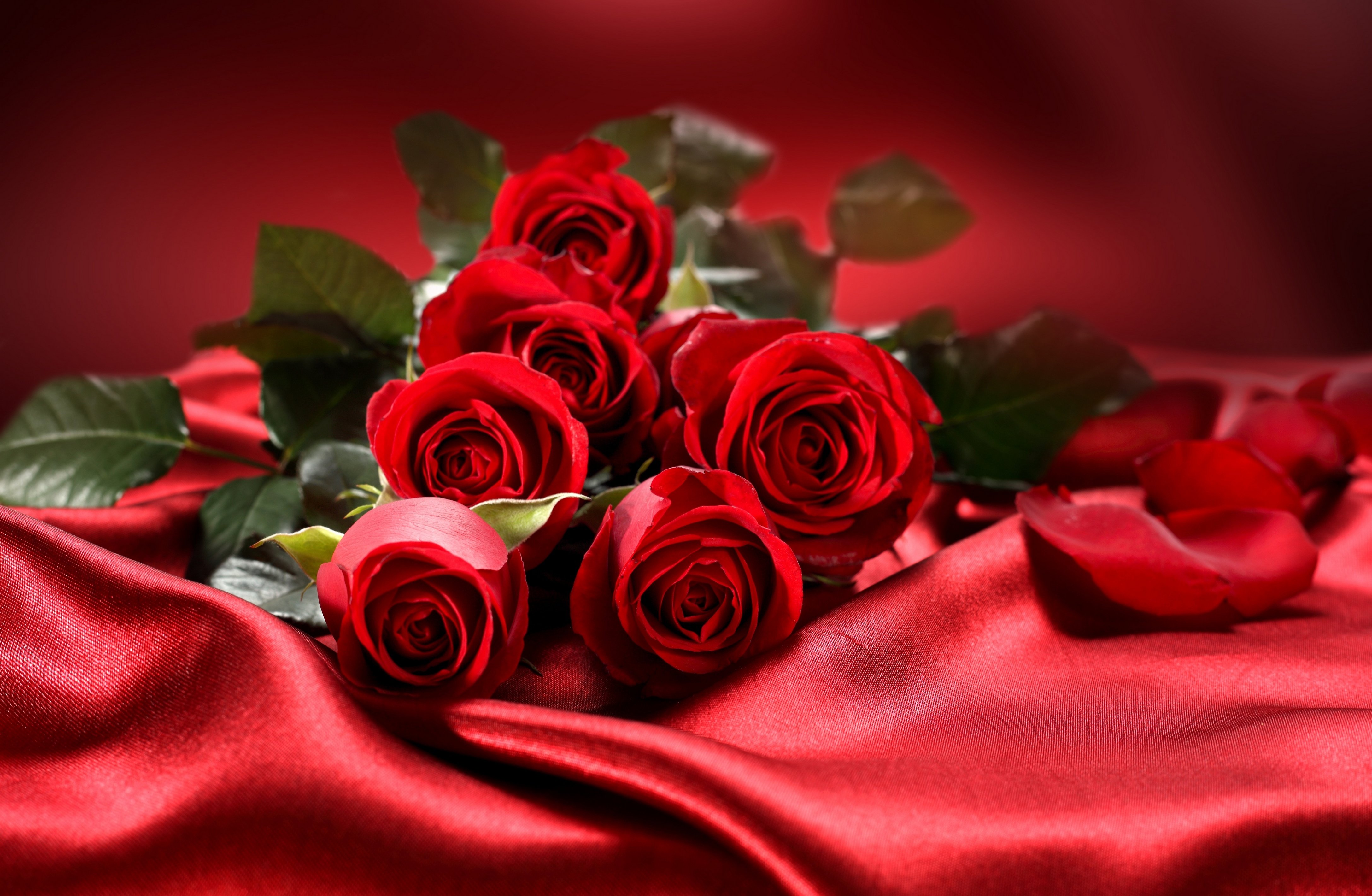 Valentine Flower Picture Wallpapers