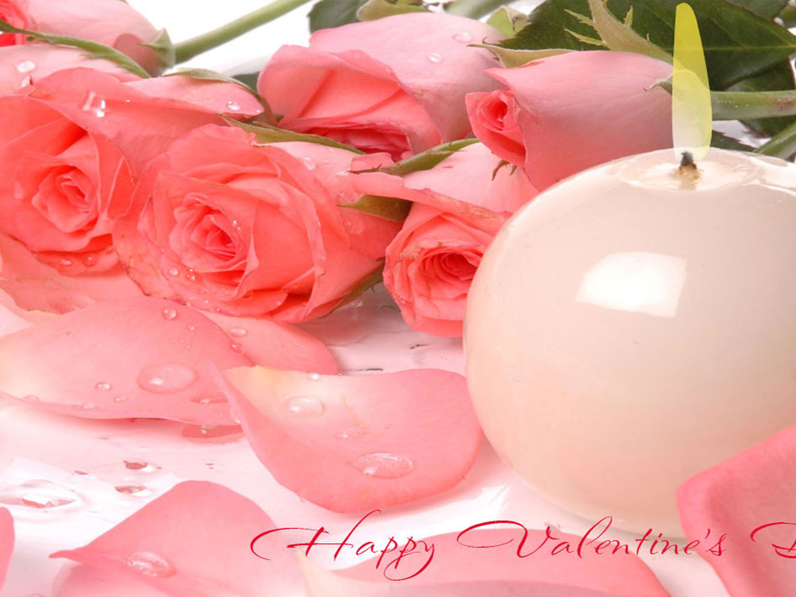 Valentine Flower Picture Wallpapers