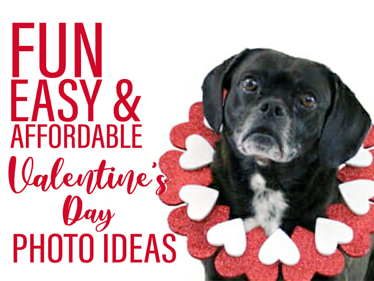 Valentines Dog Wallpapers