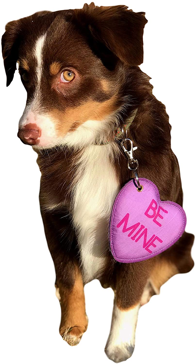 Valentines Dog Wallpapers