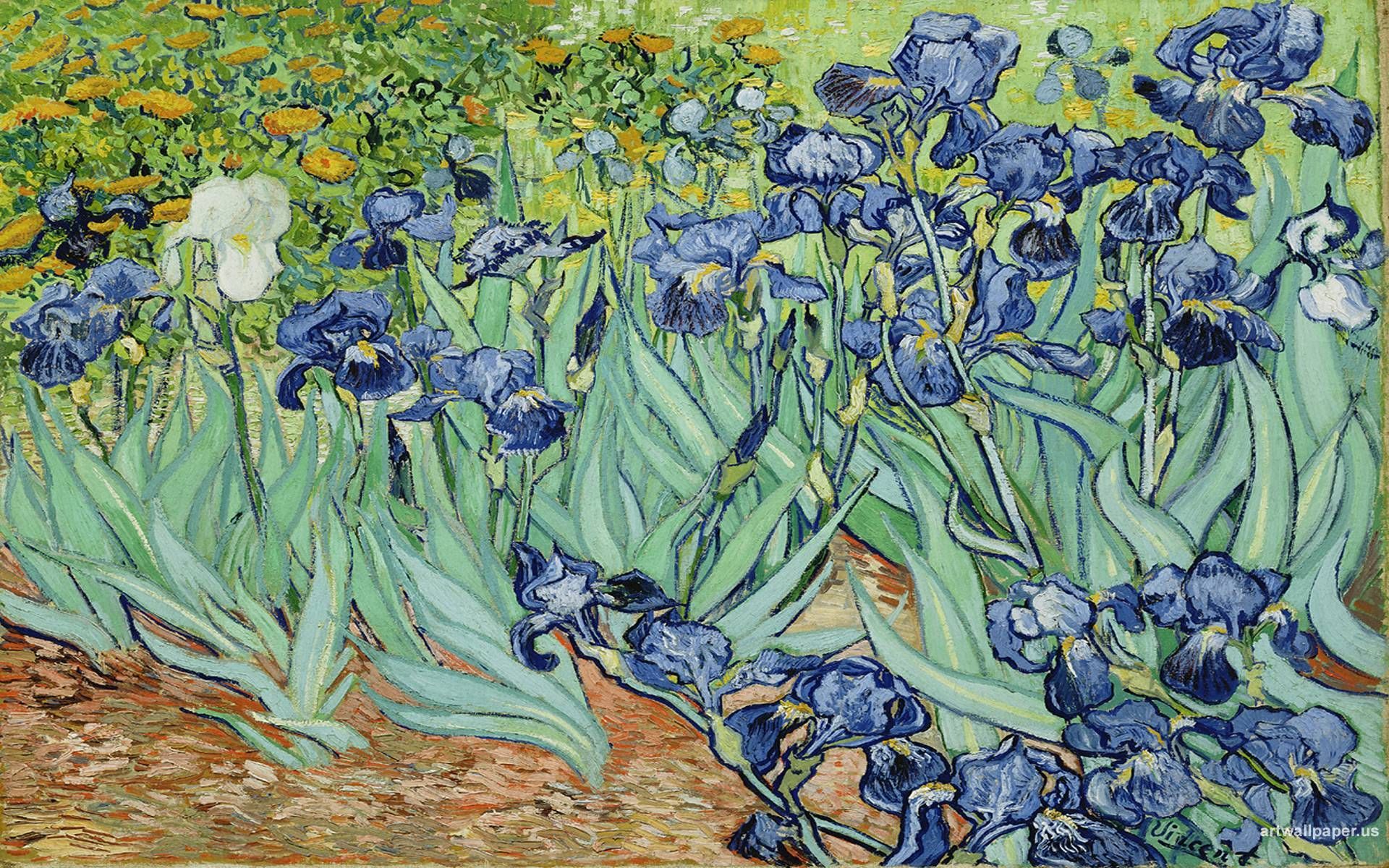 Van Gogh Irises Wallpapers