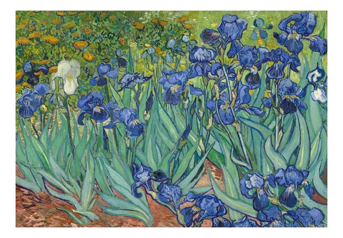 Van Gogh Irises Wallpapers