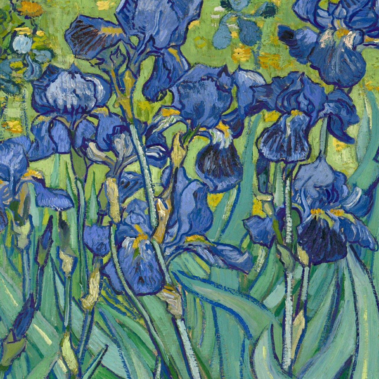 Van Gogh Irises Wallpapers