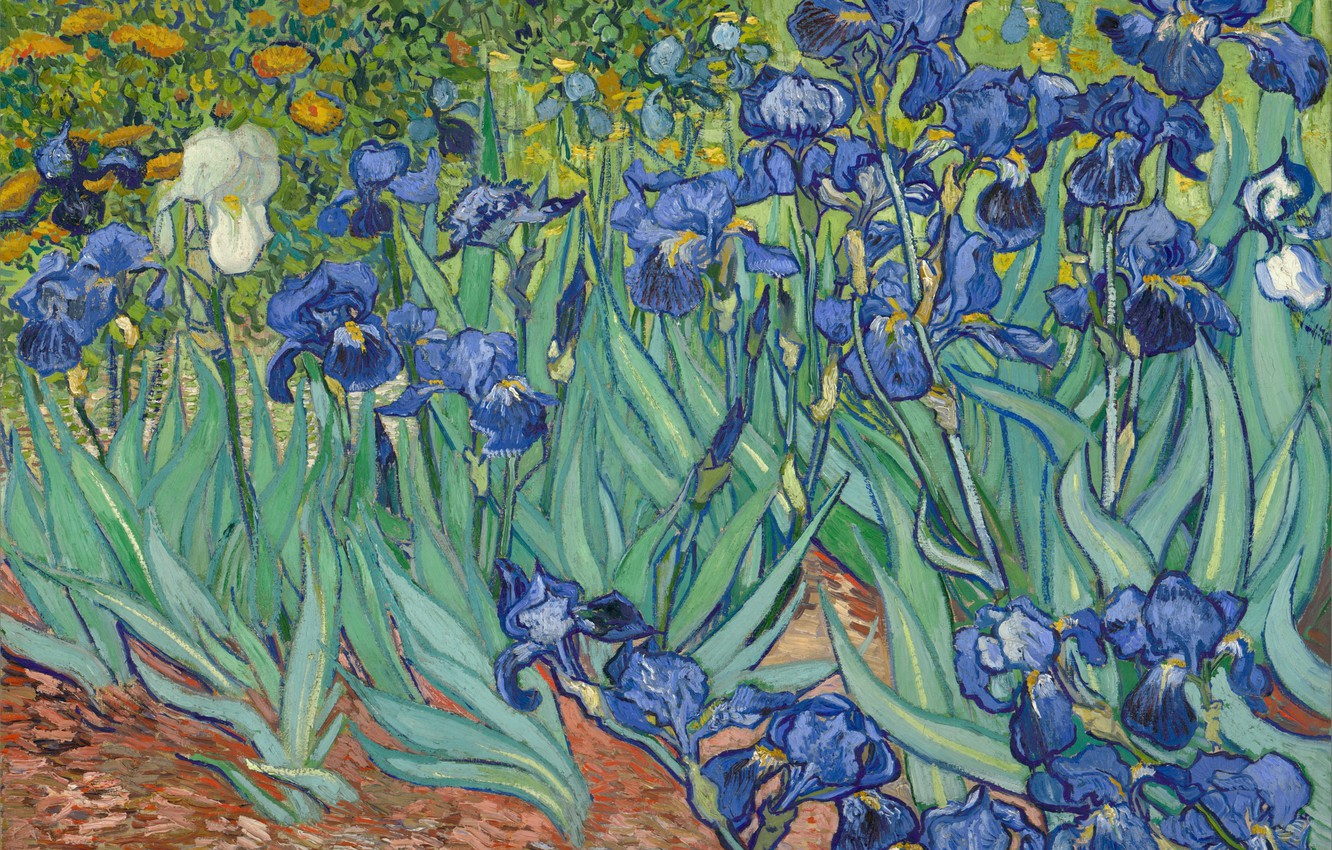 Van Gogh Irises Wallpapers