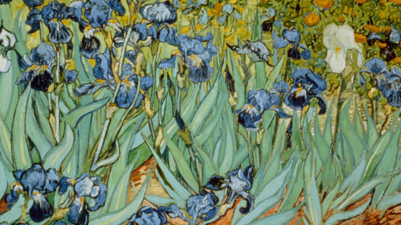 Van Gogh Irises Wallpapers