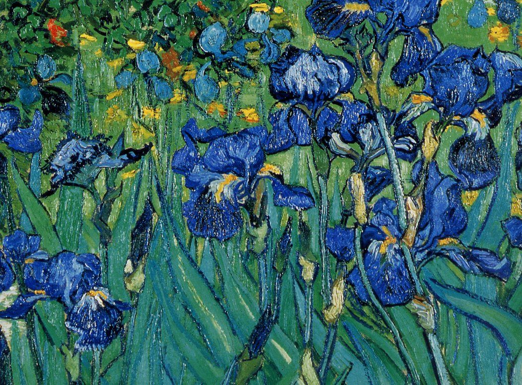 Van Gogh Irises Wallpapers