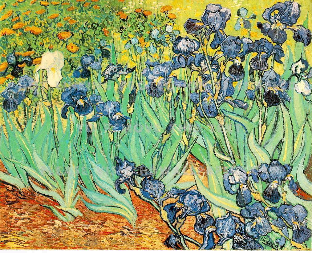 Van Gogh Irises Wallpapers