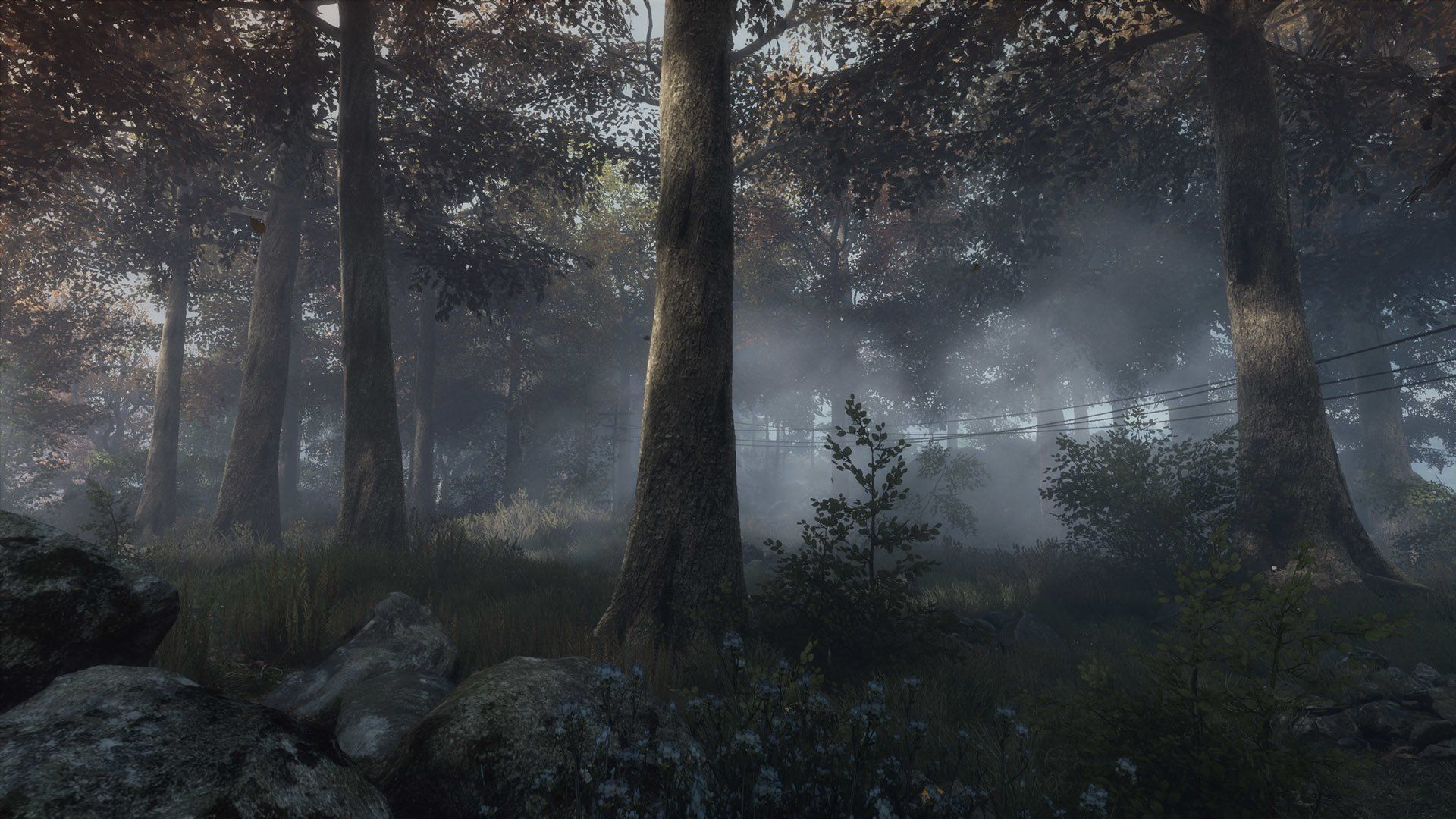 Vanishing Of Ethan Carter Wallpapers