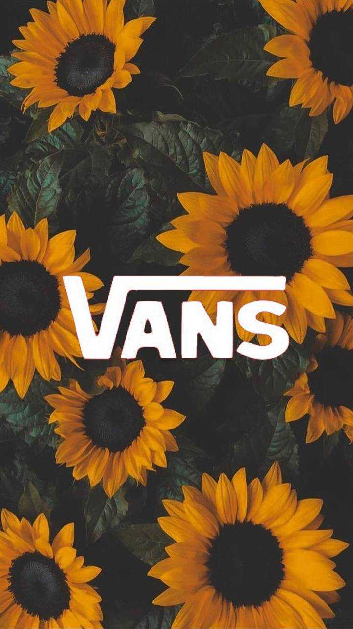 Vans Wallpapers