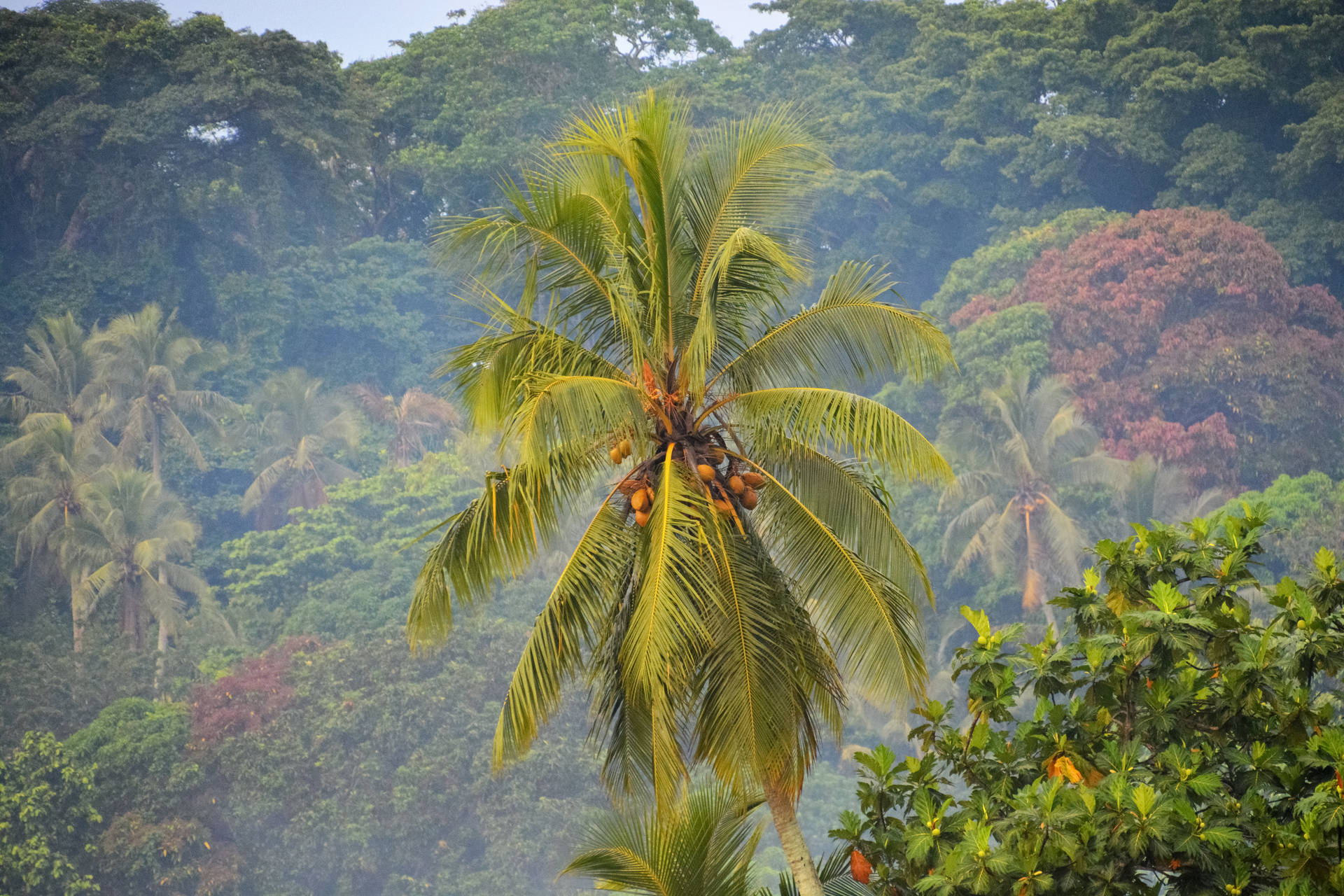 Vanuatu Wallpapers